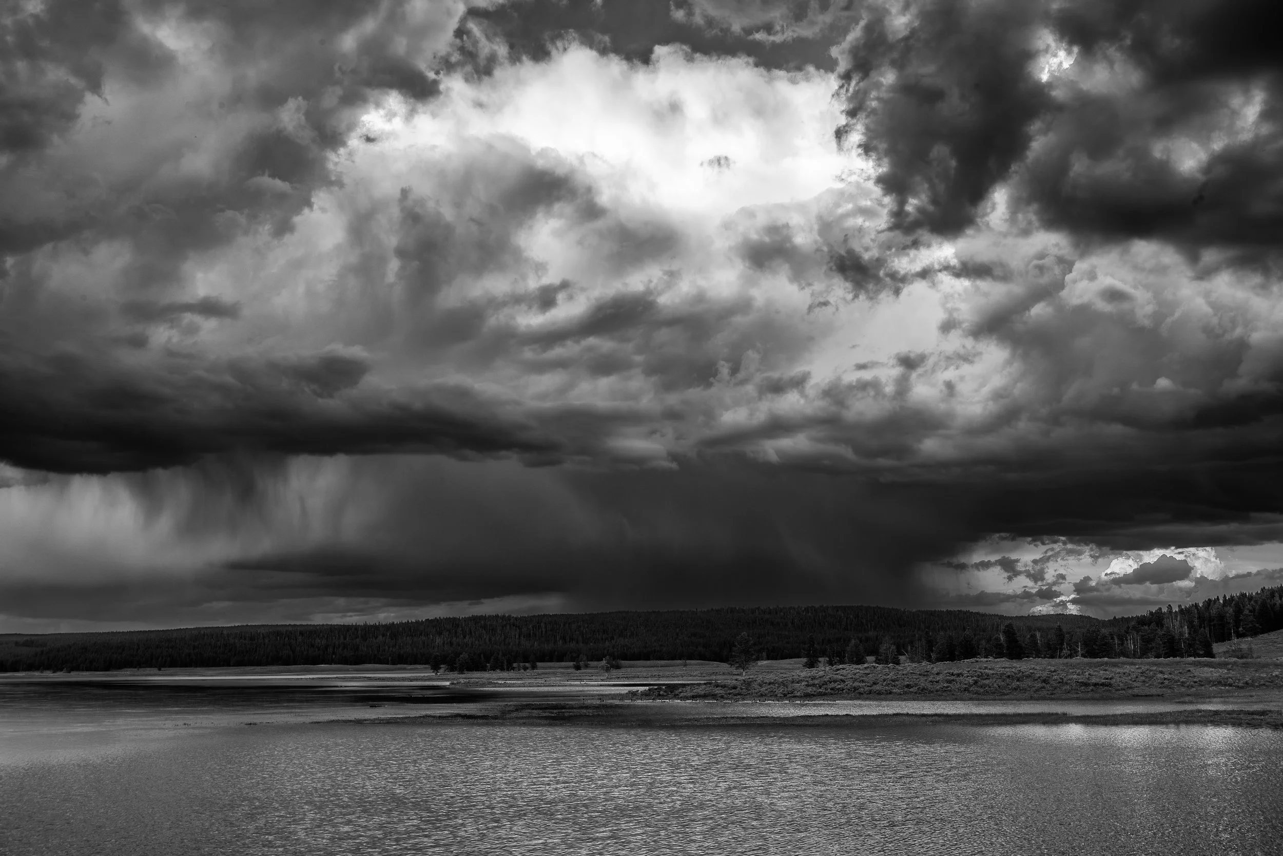 2011 Wyoming | Yellowstone