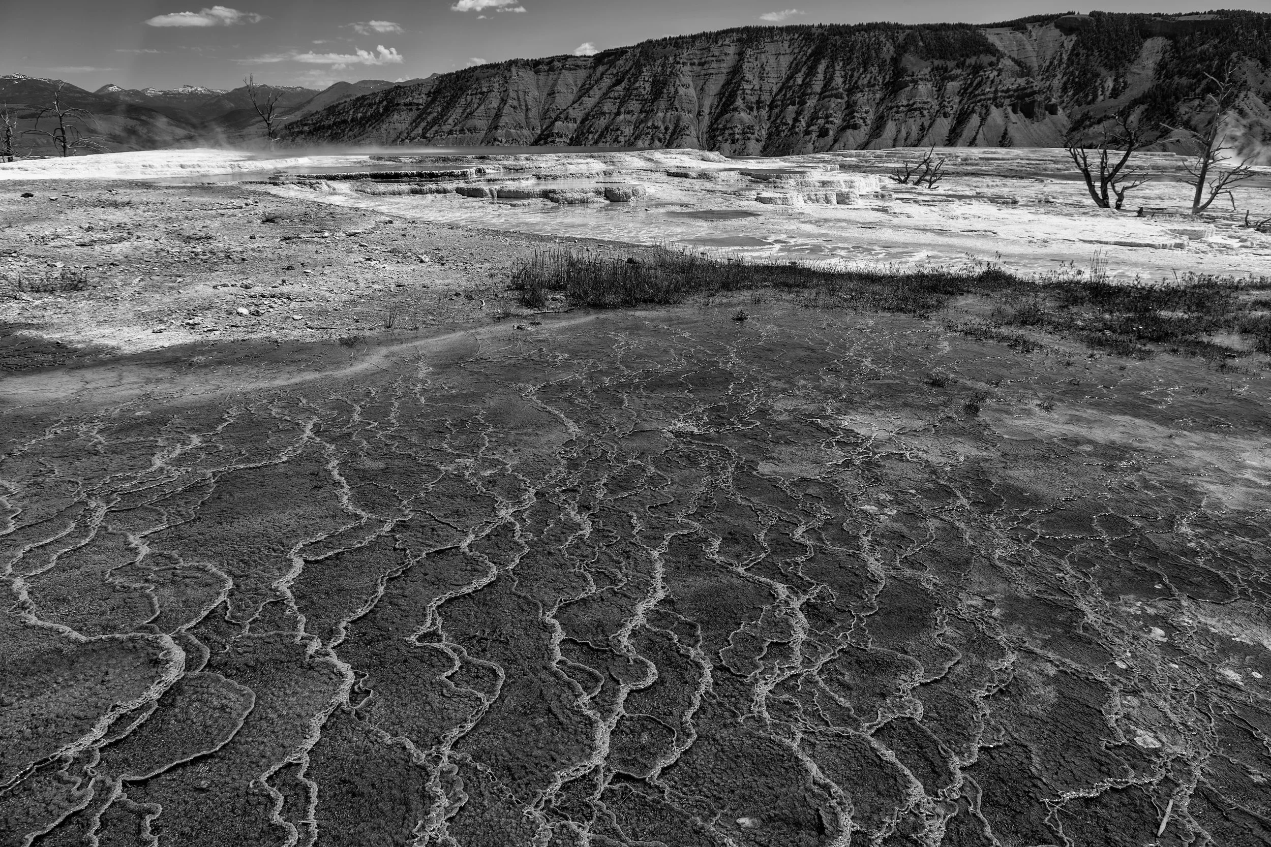2011 Wyoming | Yellowstone