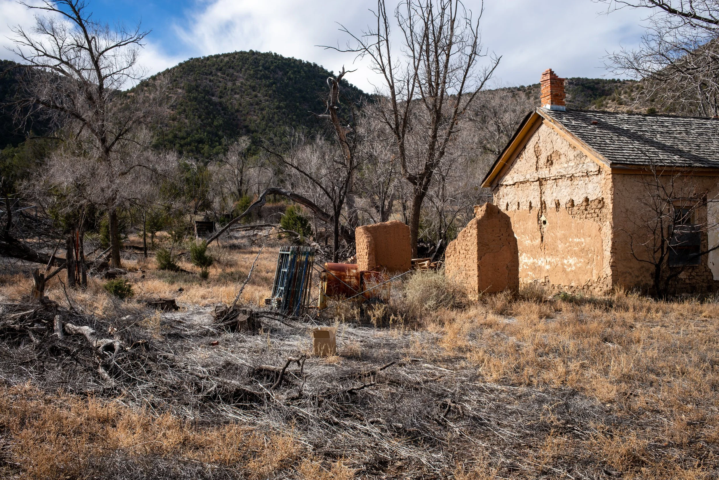 2024 New Mexico | Lincoln