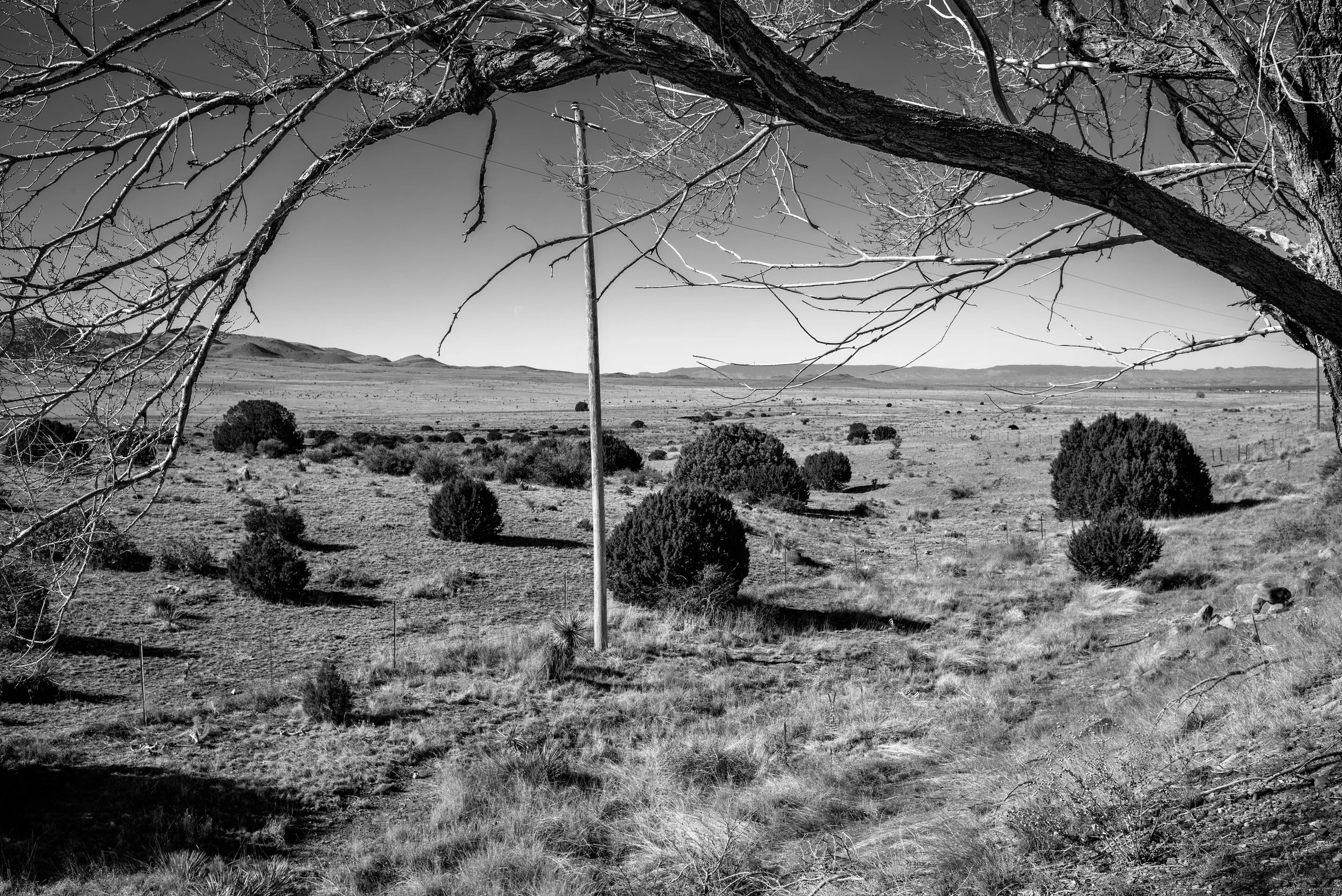 2024 New Mexico | Highway 380