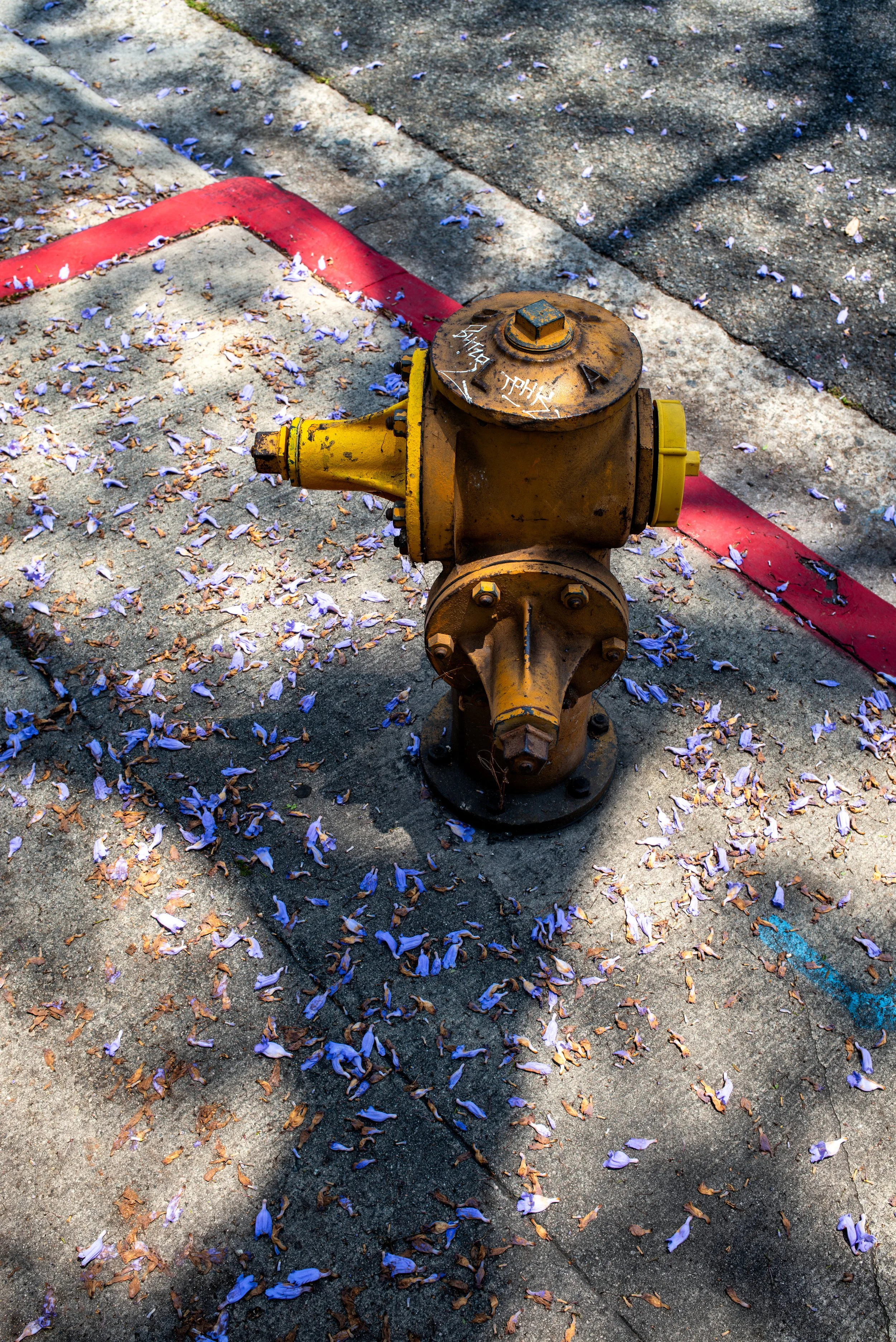 2019 | California | Los Angeles