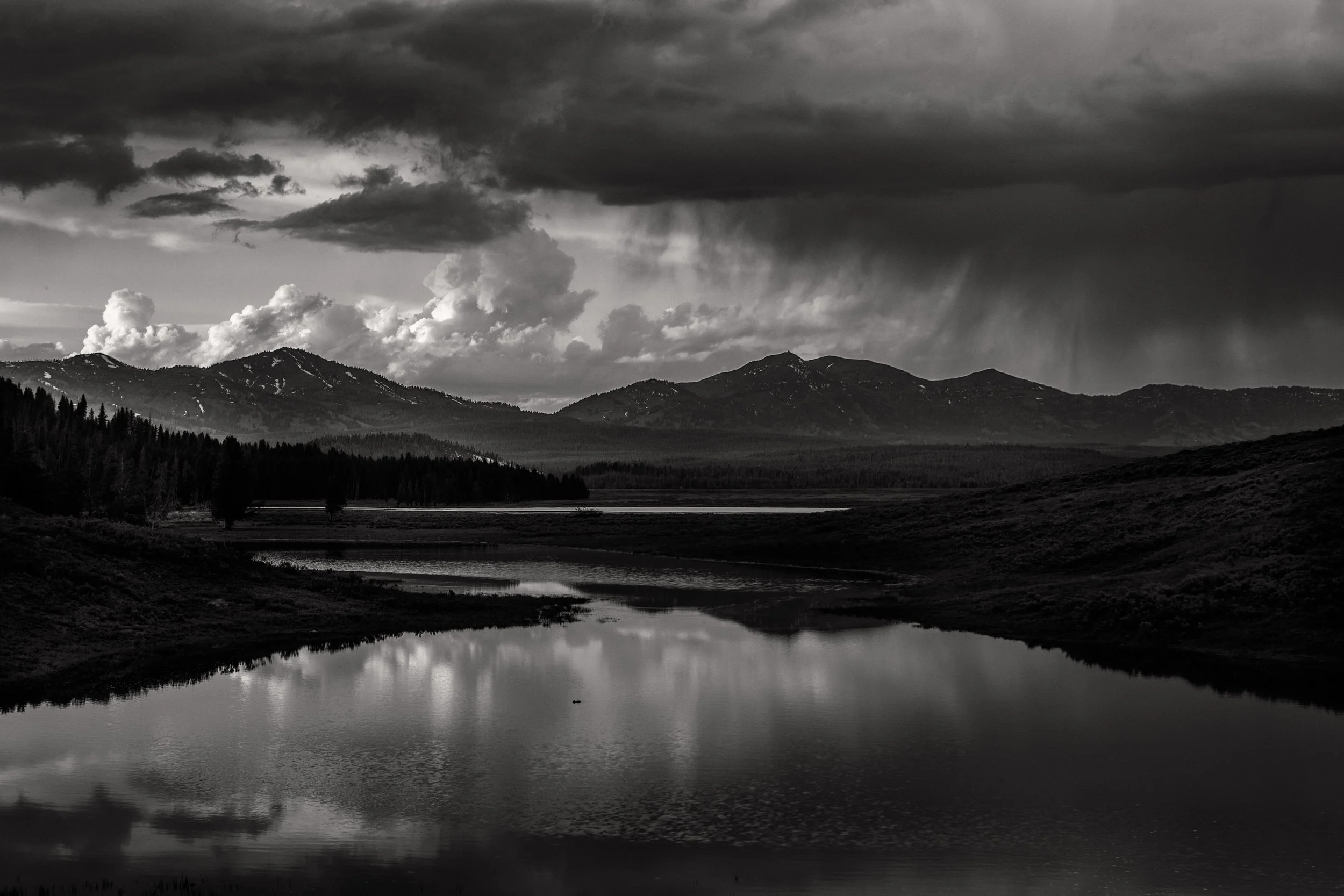 2011 Wyoming | Yellowstone