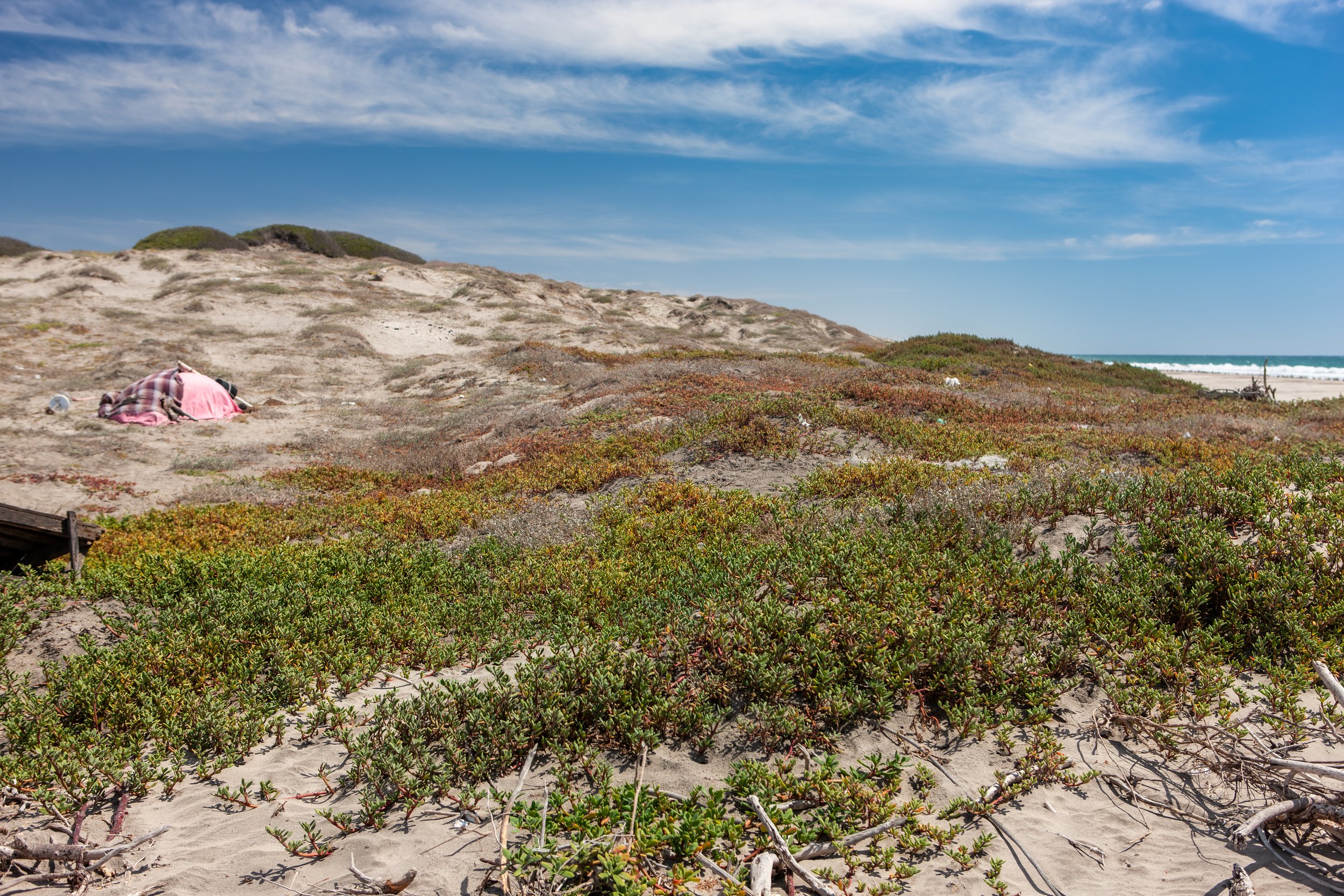 2009 Mexico | Baja Shark Fishing Camp
