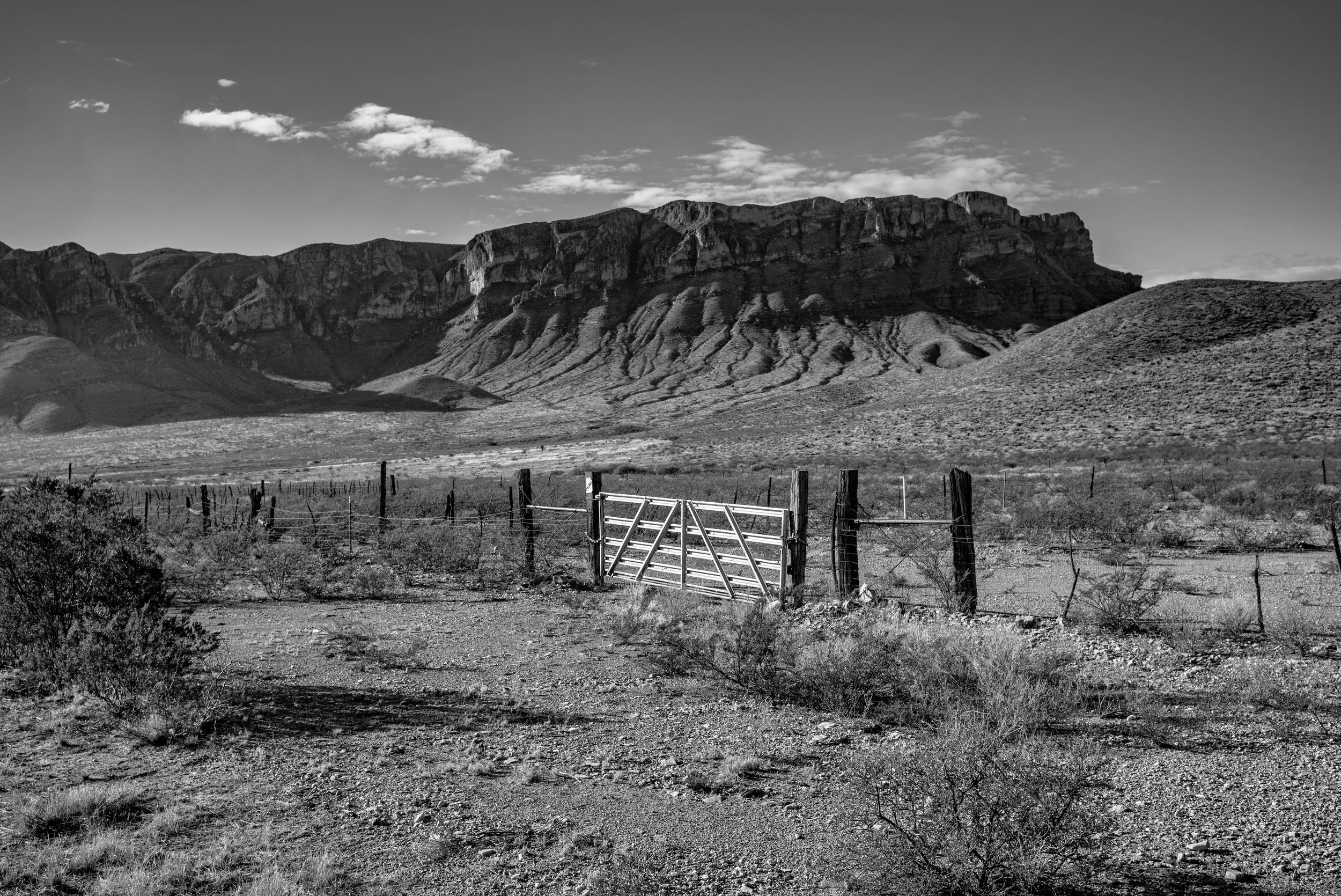 2024 Texas | Highway 54