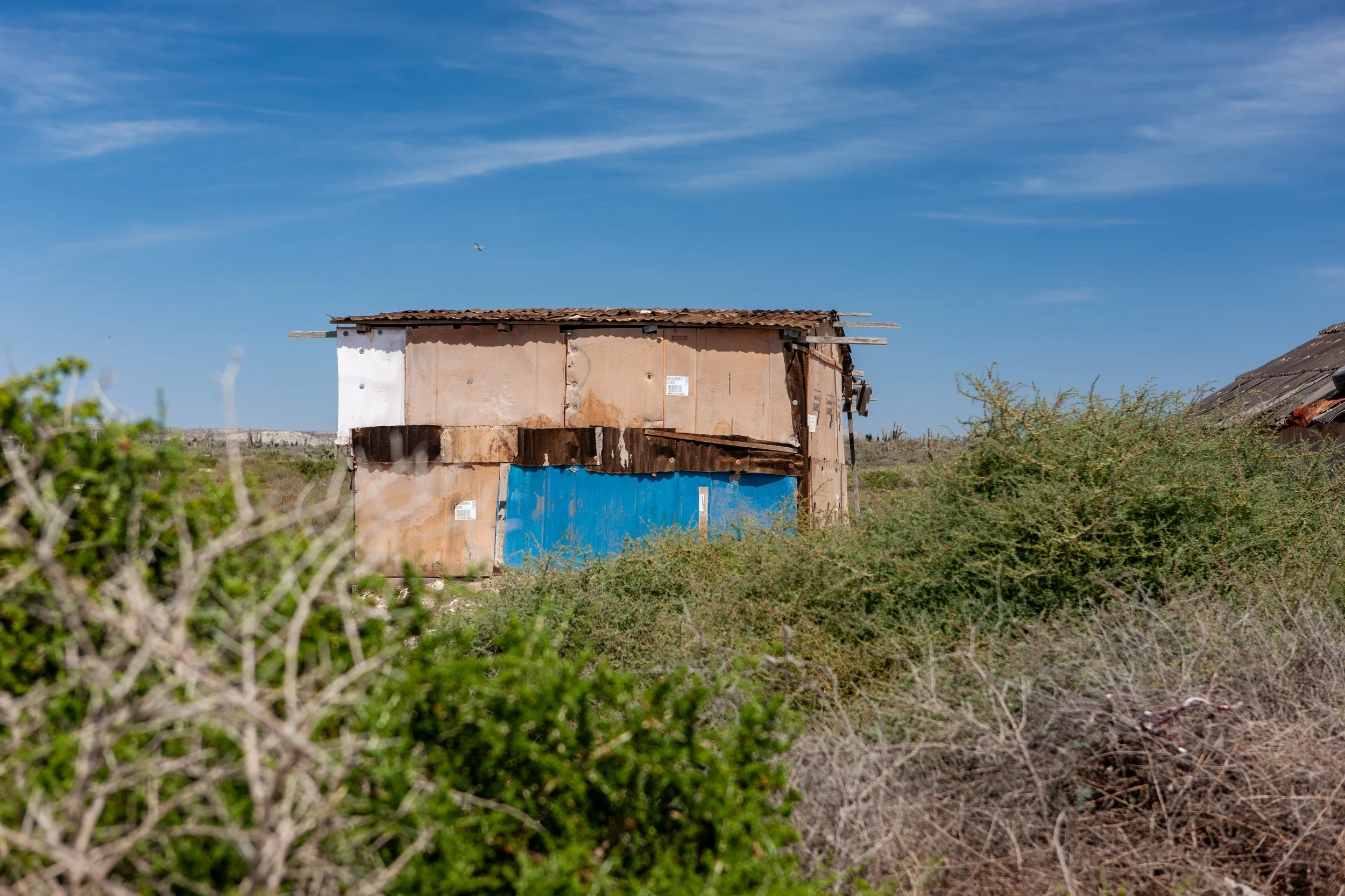 2009 Mexico | Baja Shark Fishing Camp