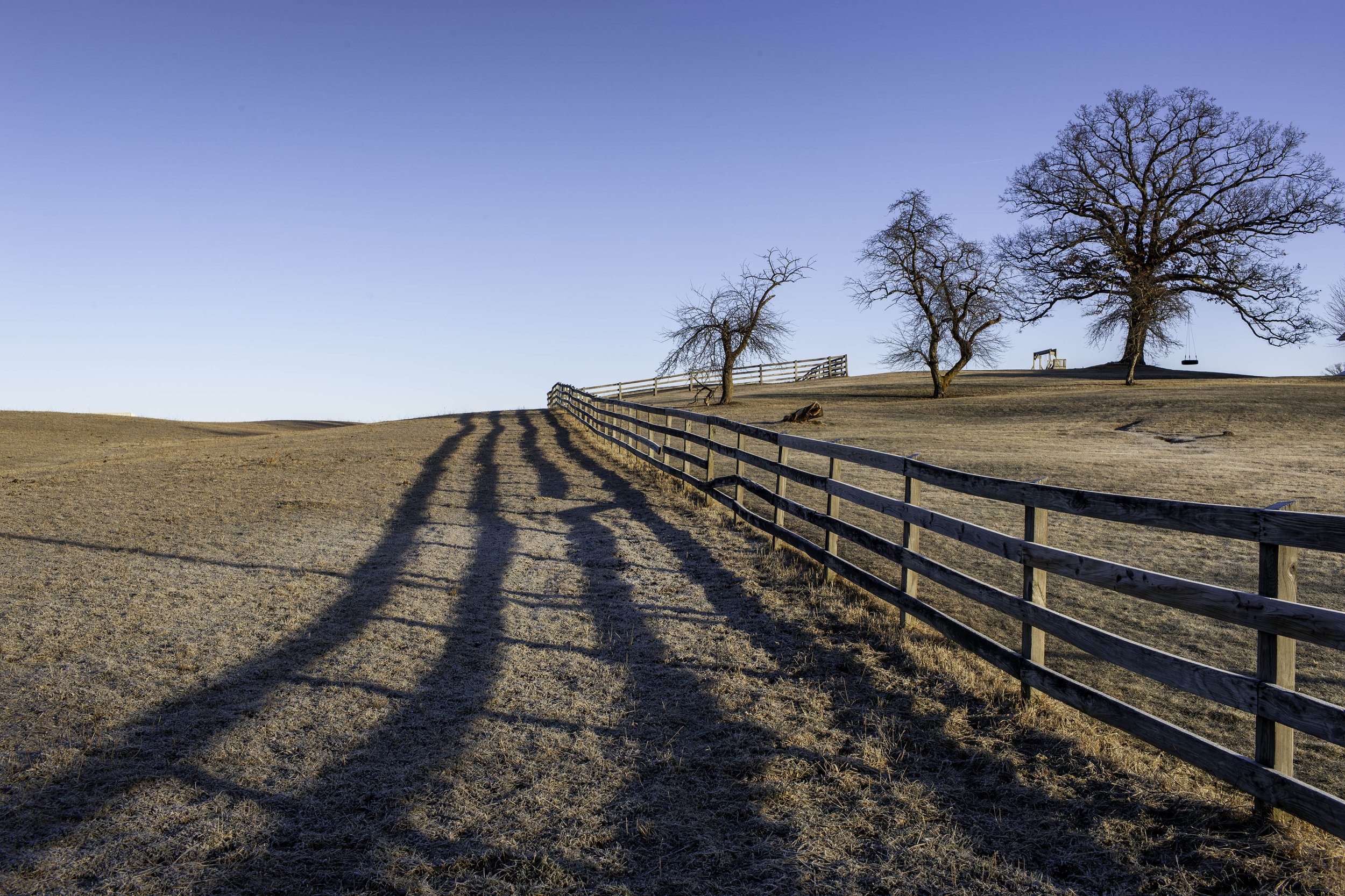 2012 Michigan | Leonard St.