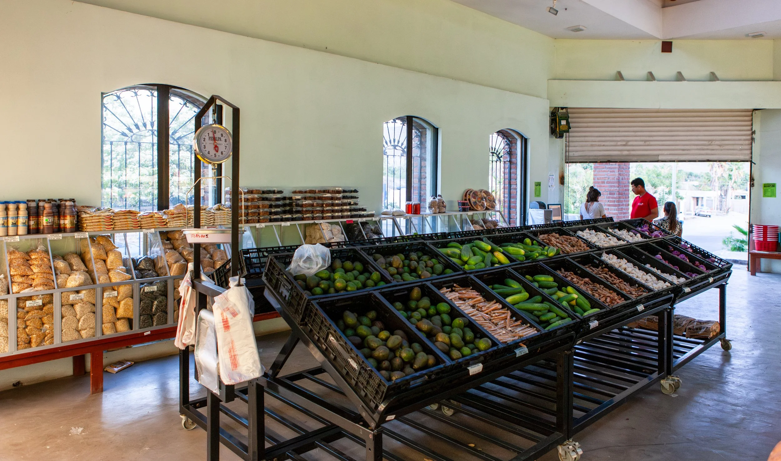 2008 Mexico | Todos Santos