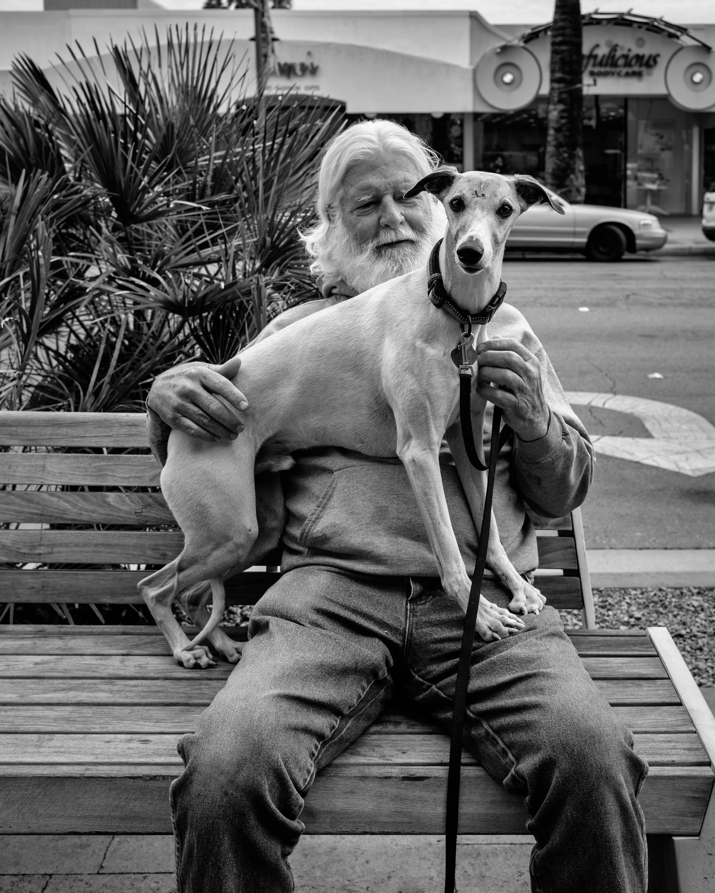 2023 California | Palm Springs