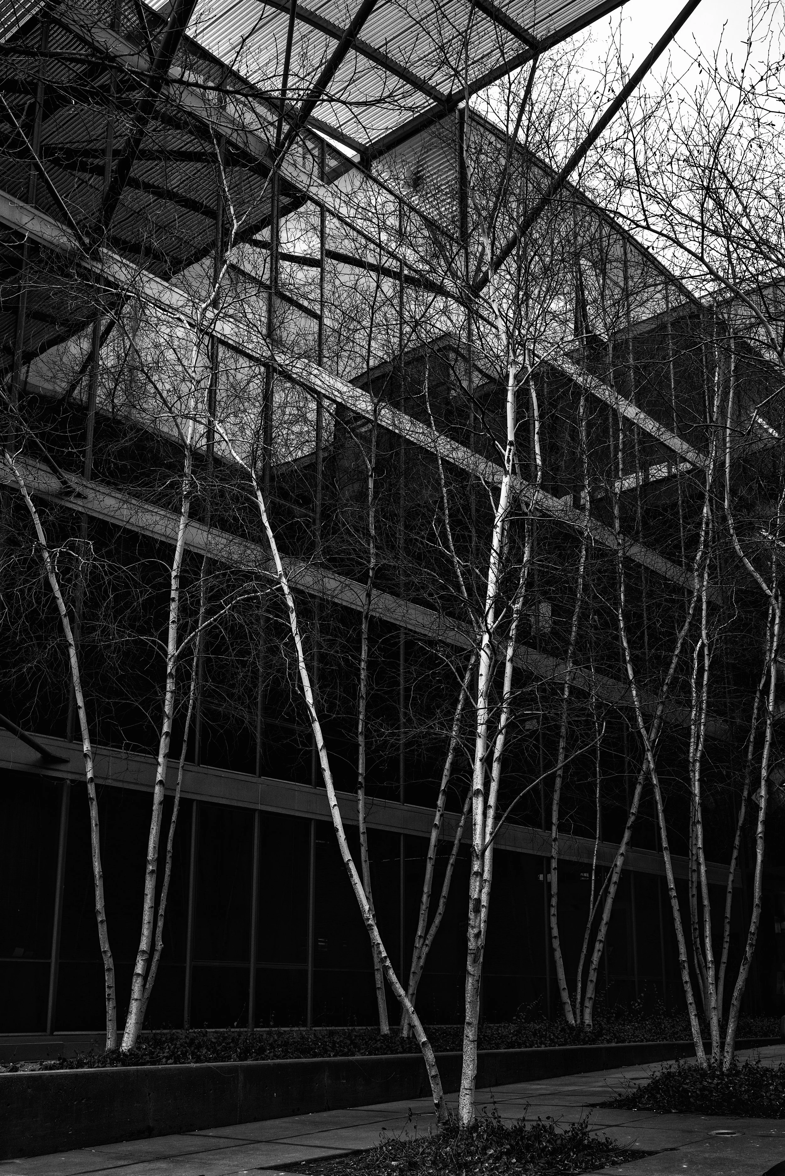 2016 Chicago | Illinois Institute of Technology