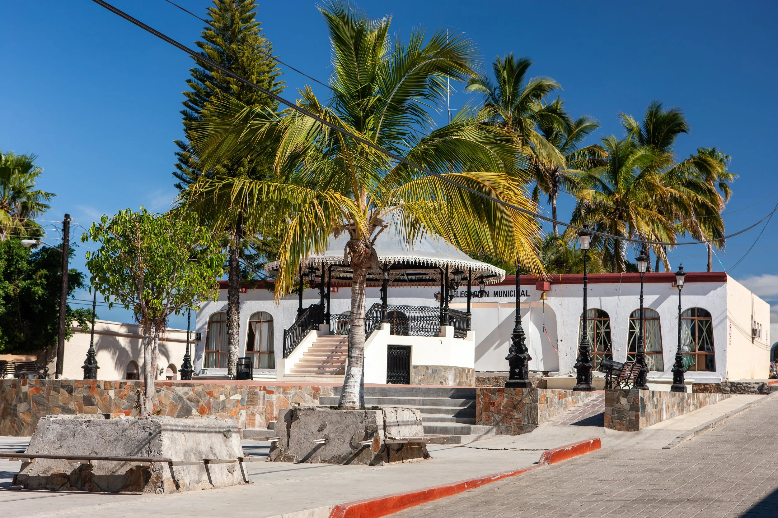 2008 Mexico | Todos Santos
