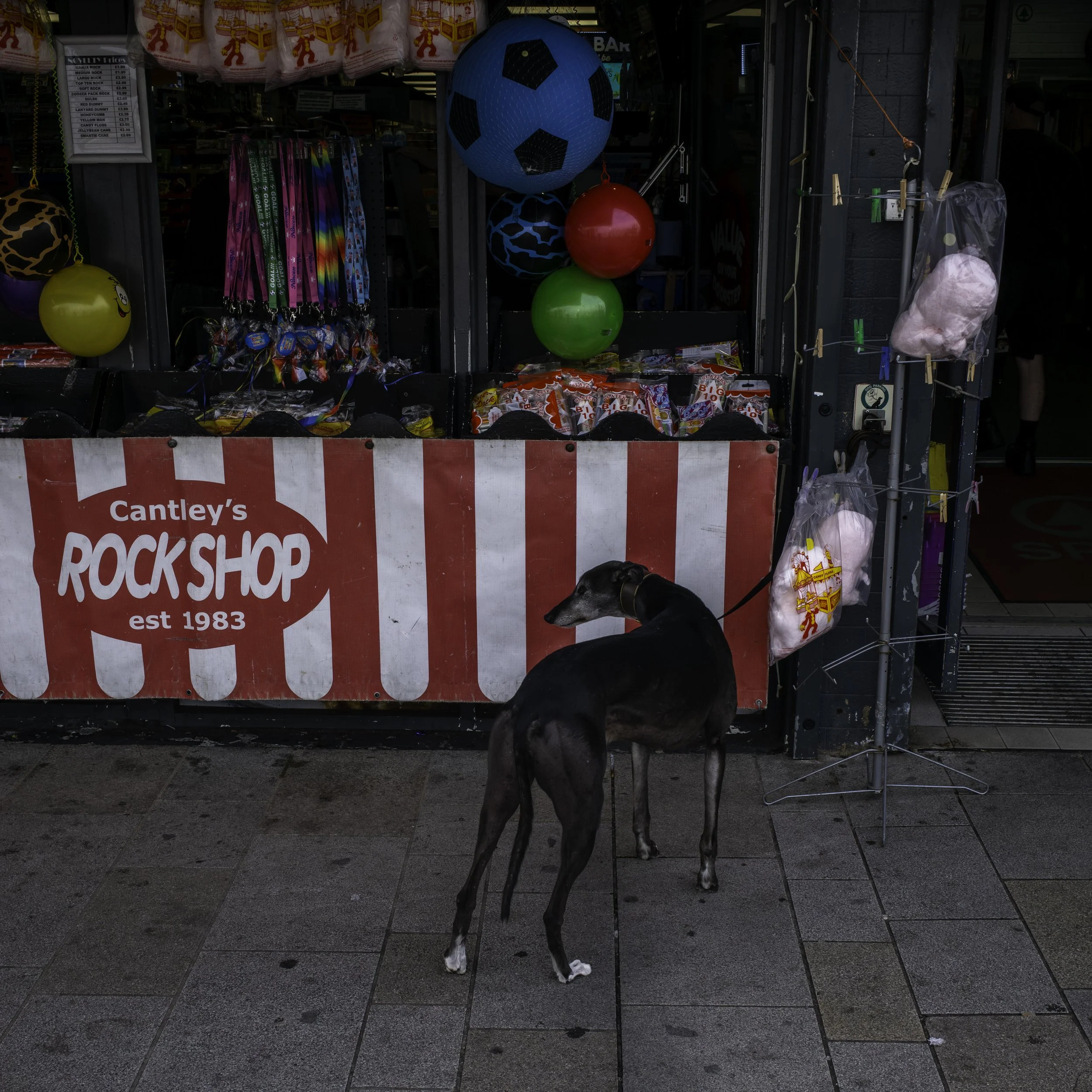 2025 | Northern Ireland | Portrush