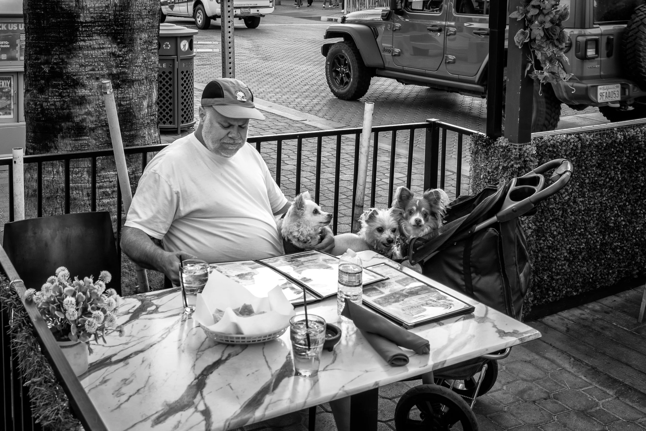 2023 California | Palm Springs