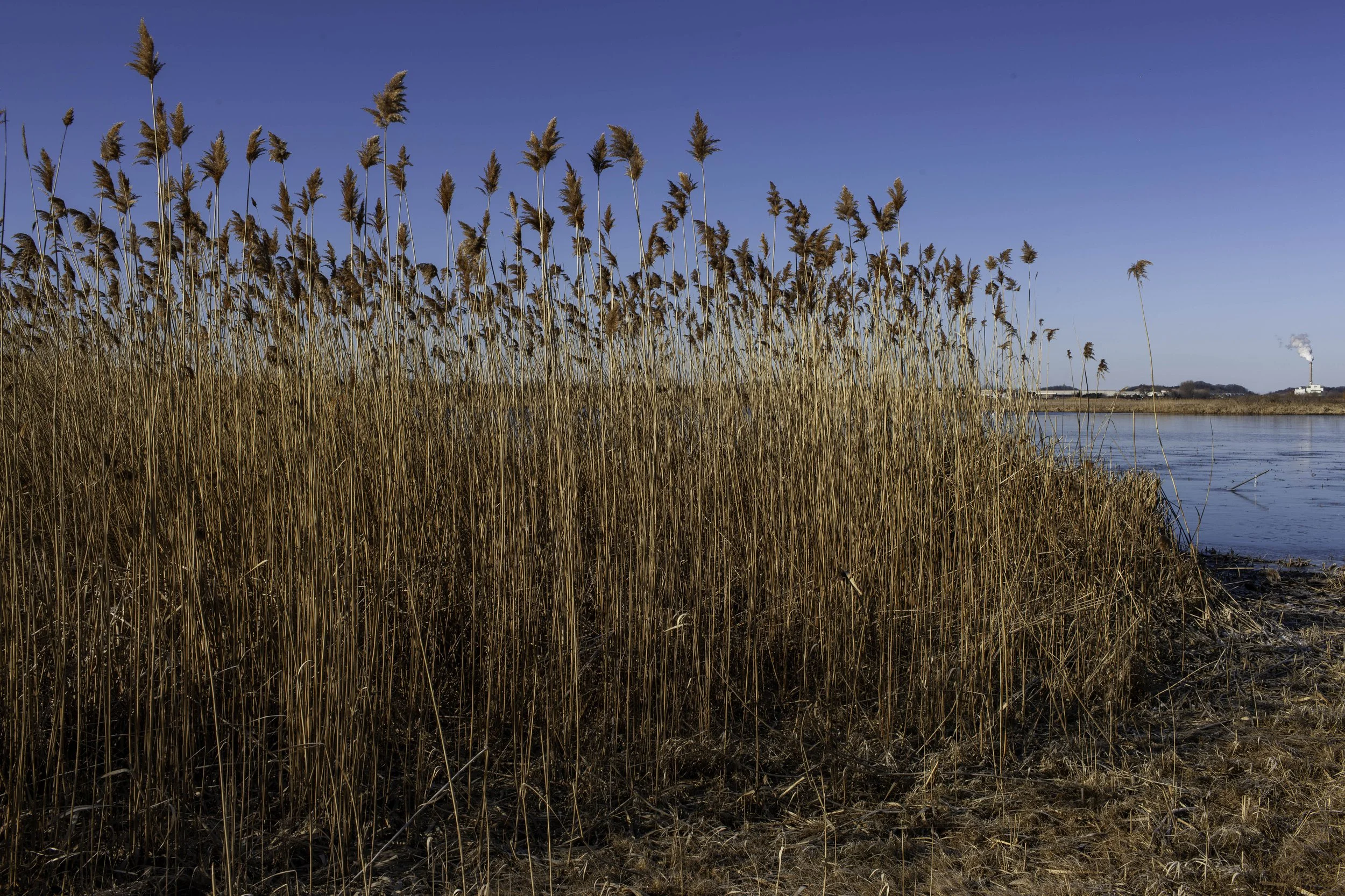 2012 Michigan | Leonard St.