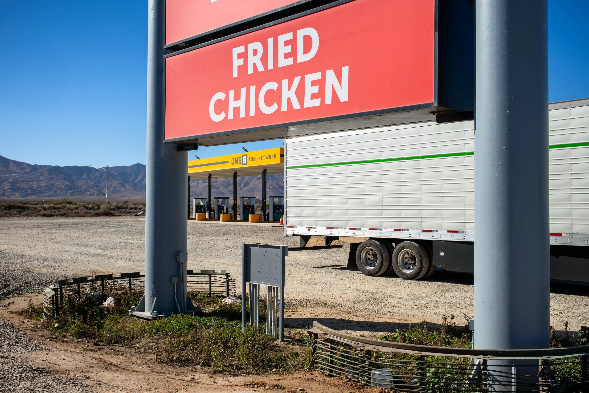 2023 | Arizona | Bowie