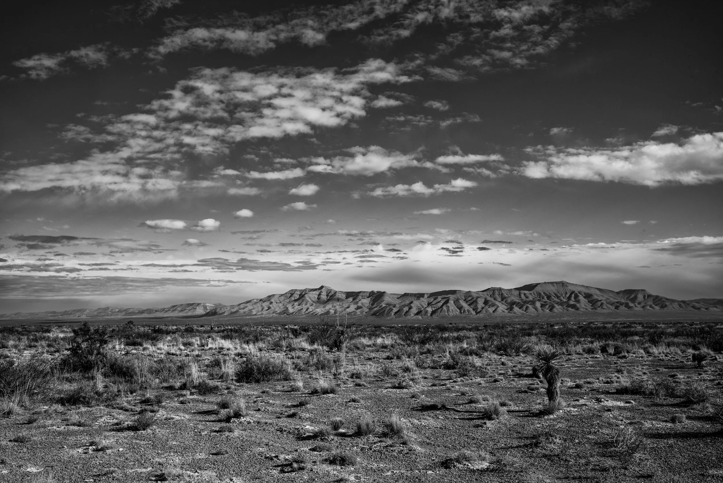 2024 Texas | Highway 54