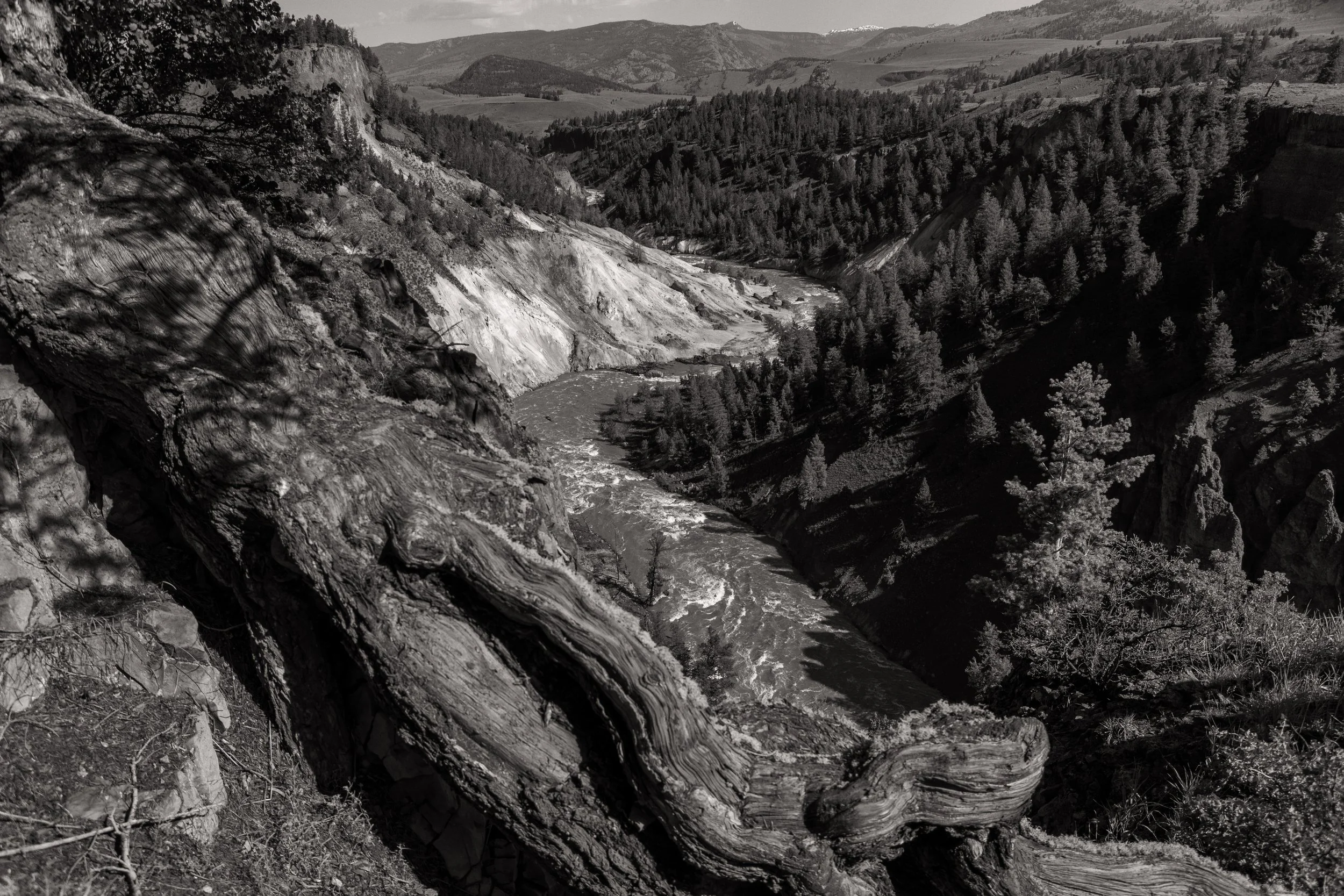 2011 Wyoming | Yellowstone