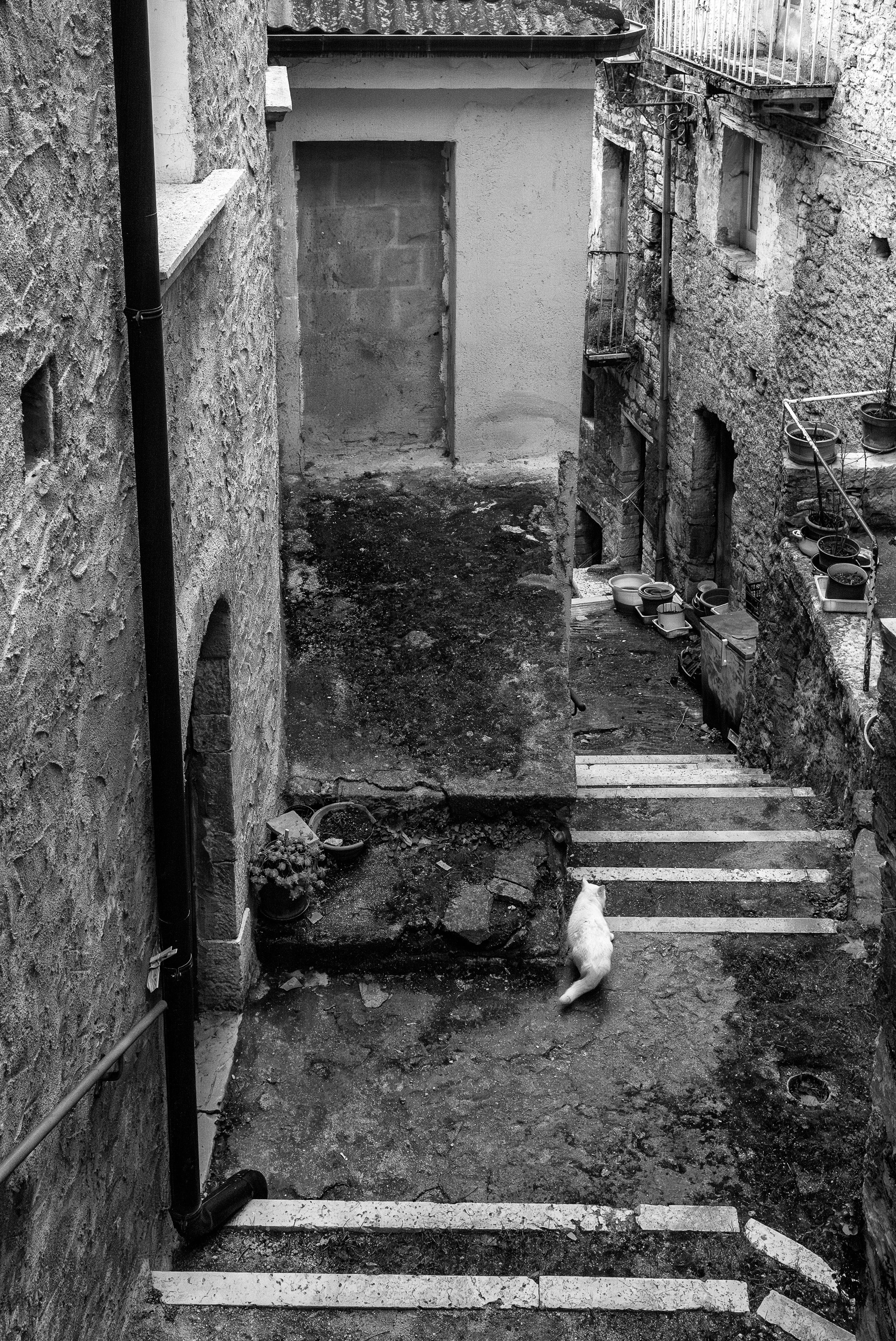 2022 Italy | Gildone