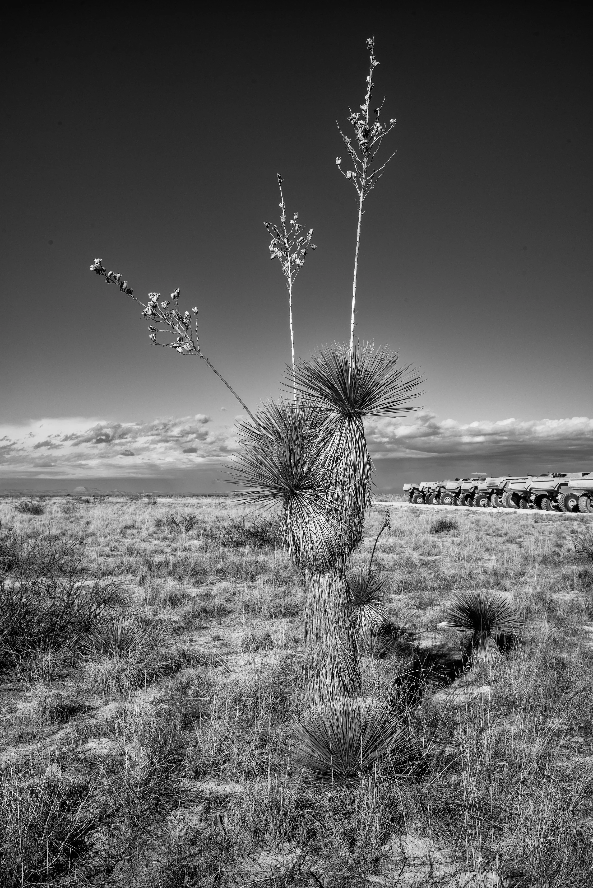 2024 Texas | Highway 54