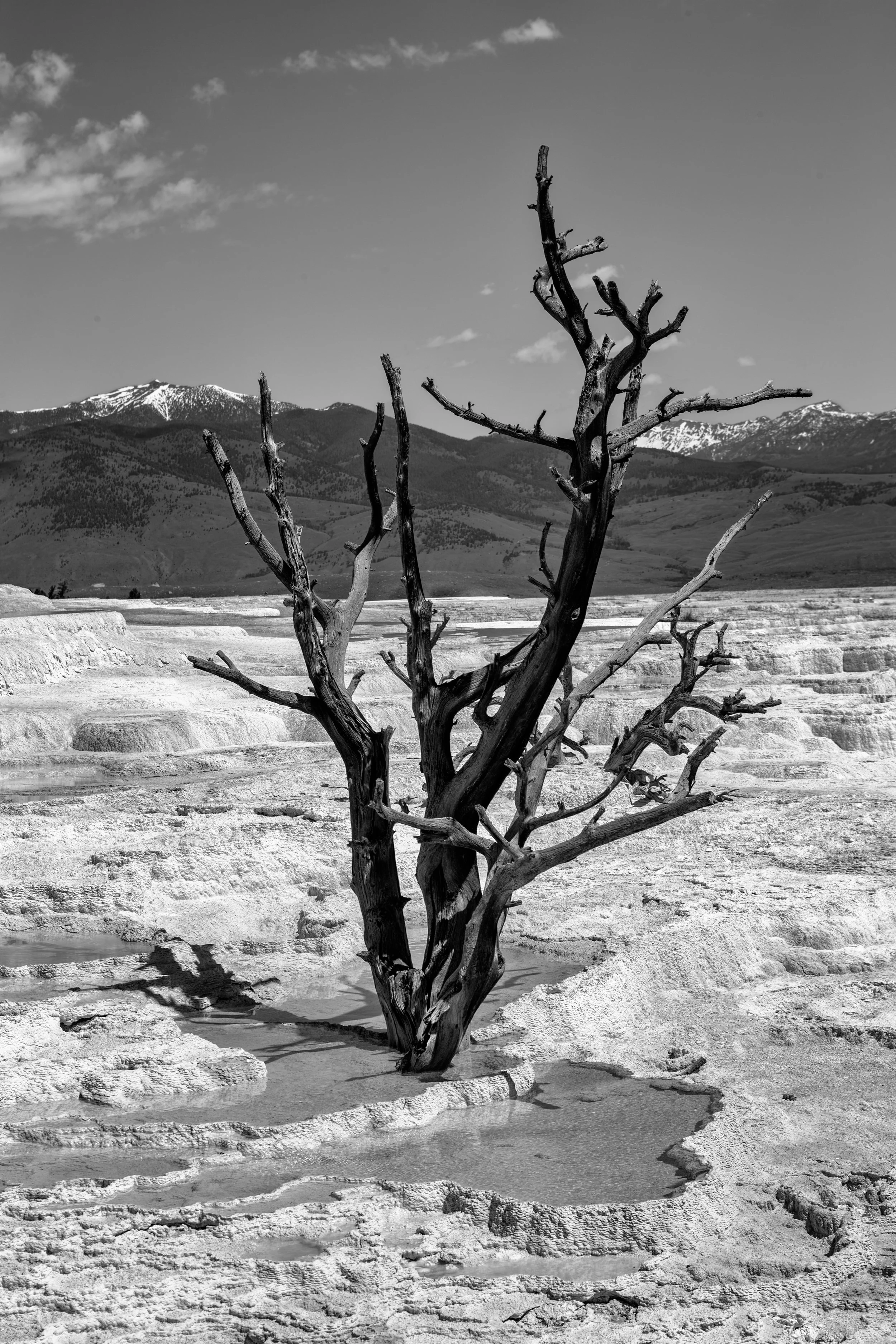 2011 Wyoming | Yellowstone