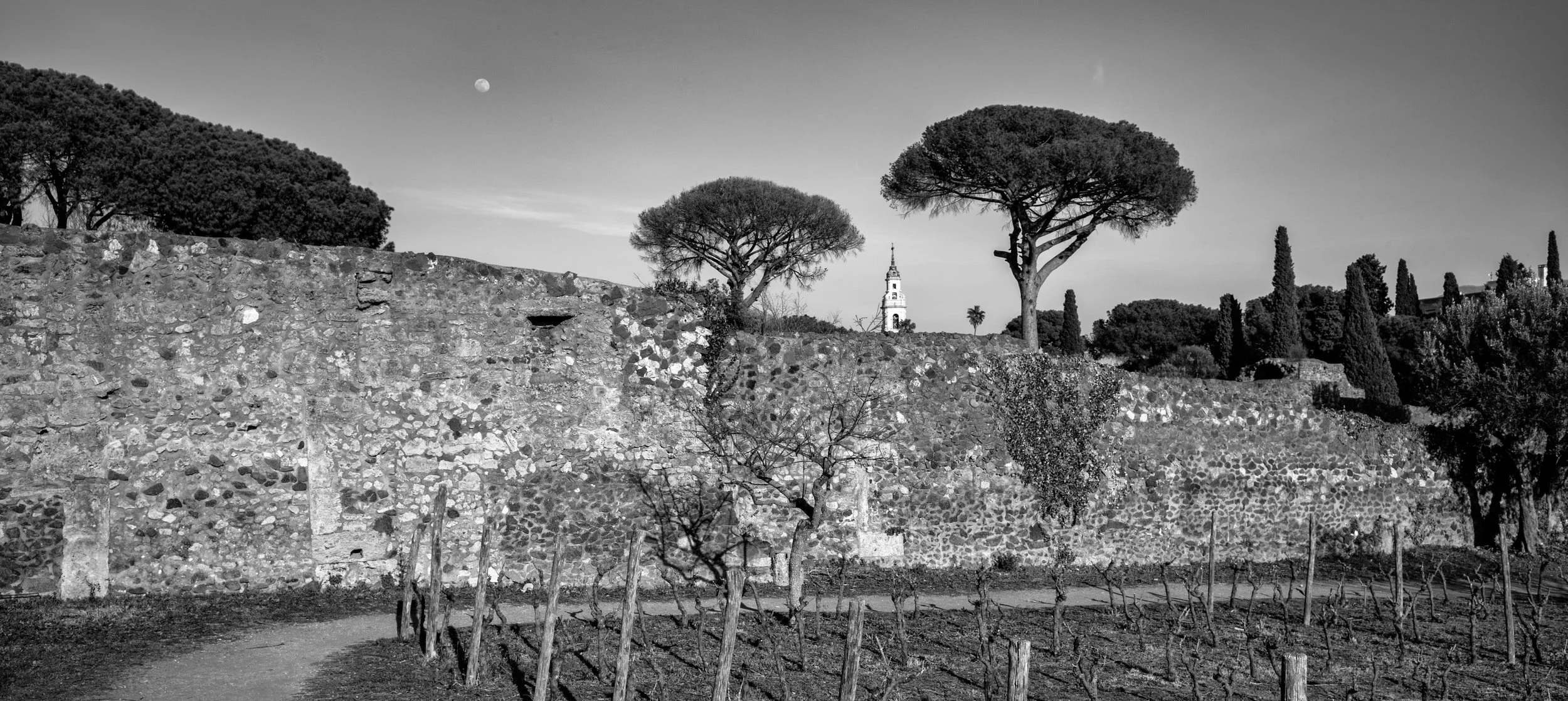 2022 Italy | Pompeii