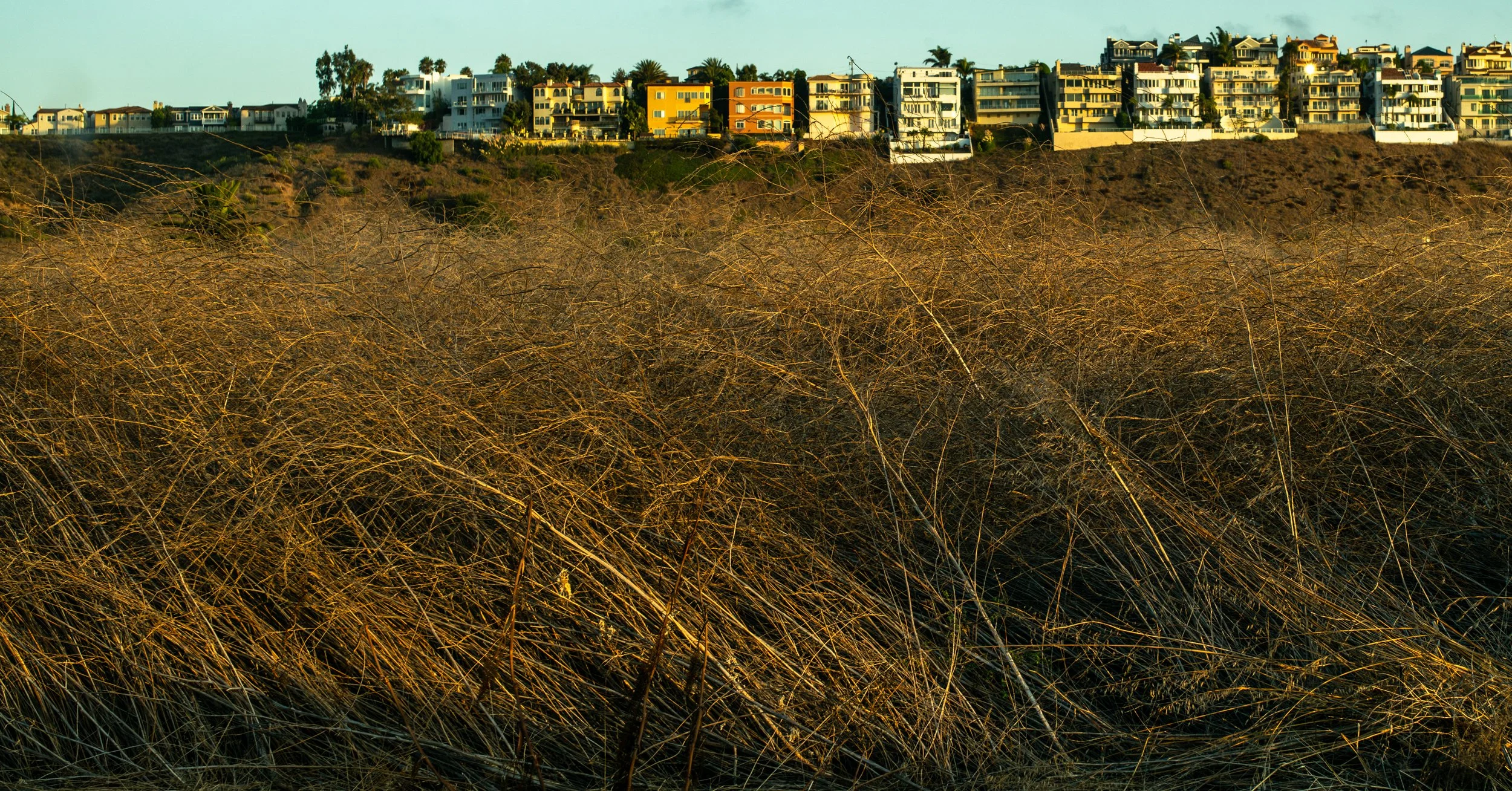 2019 | California | Los Angeles