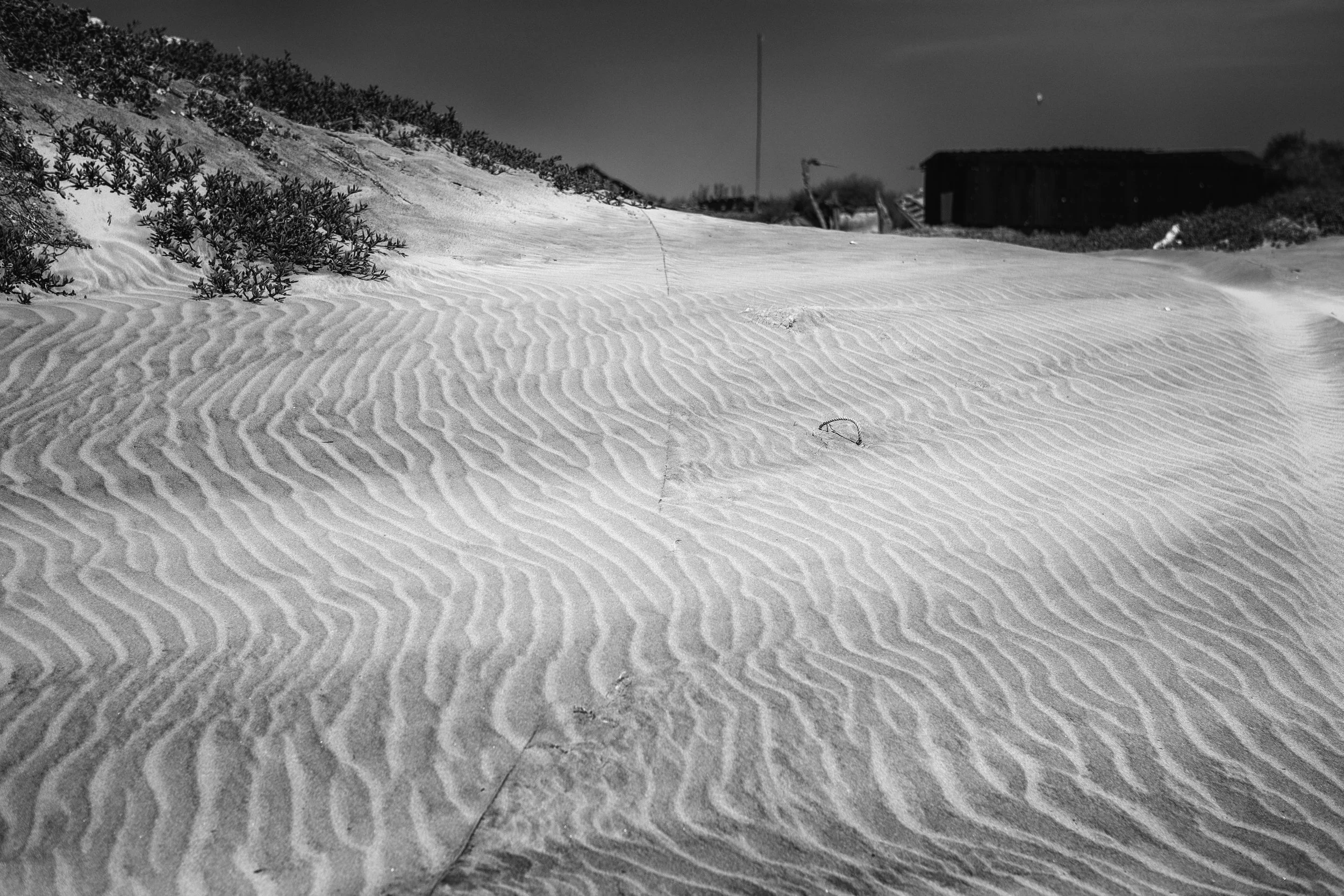 2009 Mexico | Baja Shark Fishing Camp