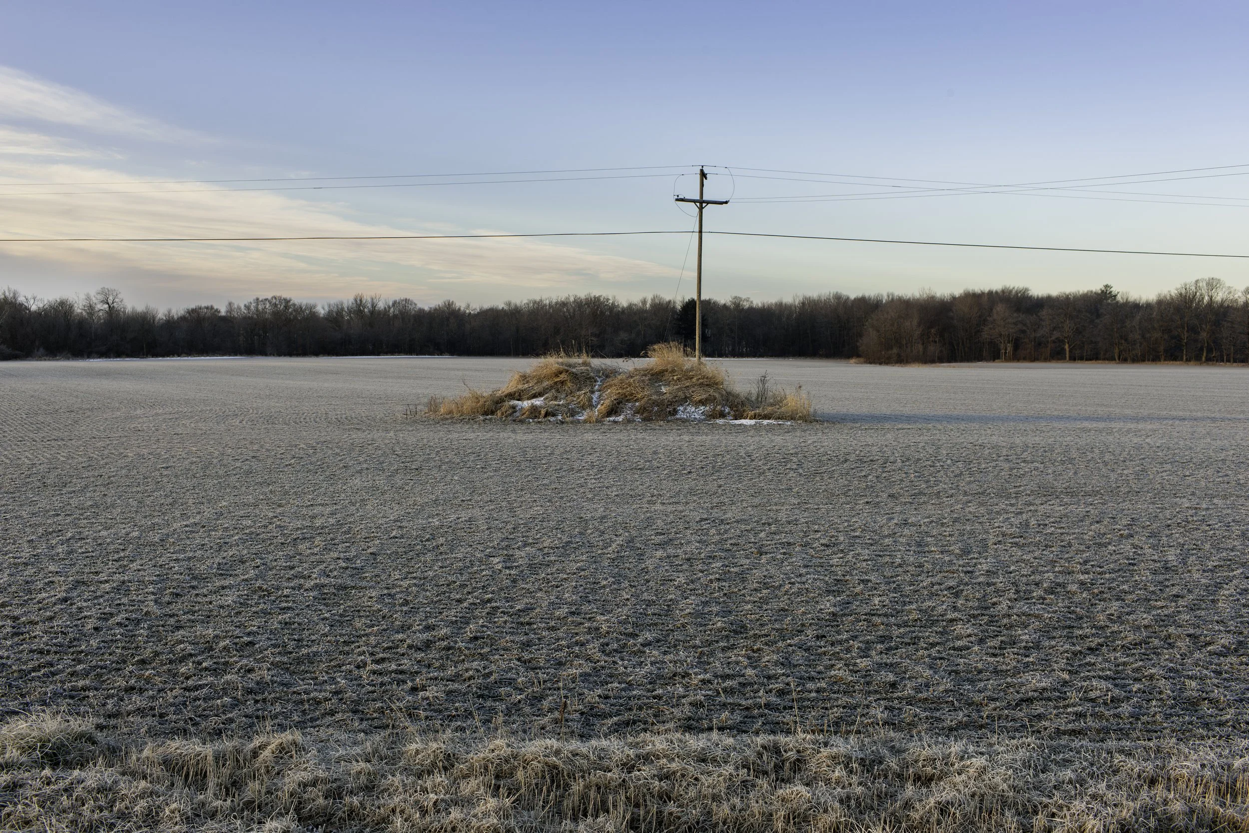 2012 Michigan | Leonard St.
