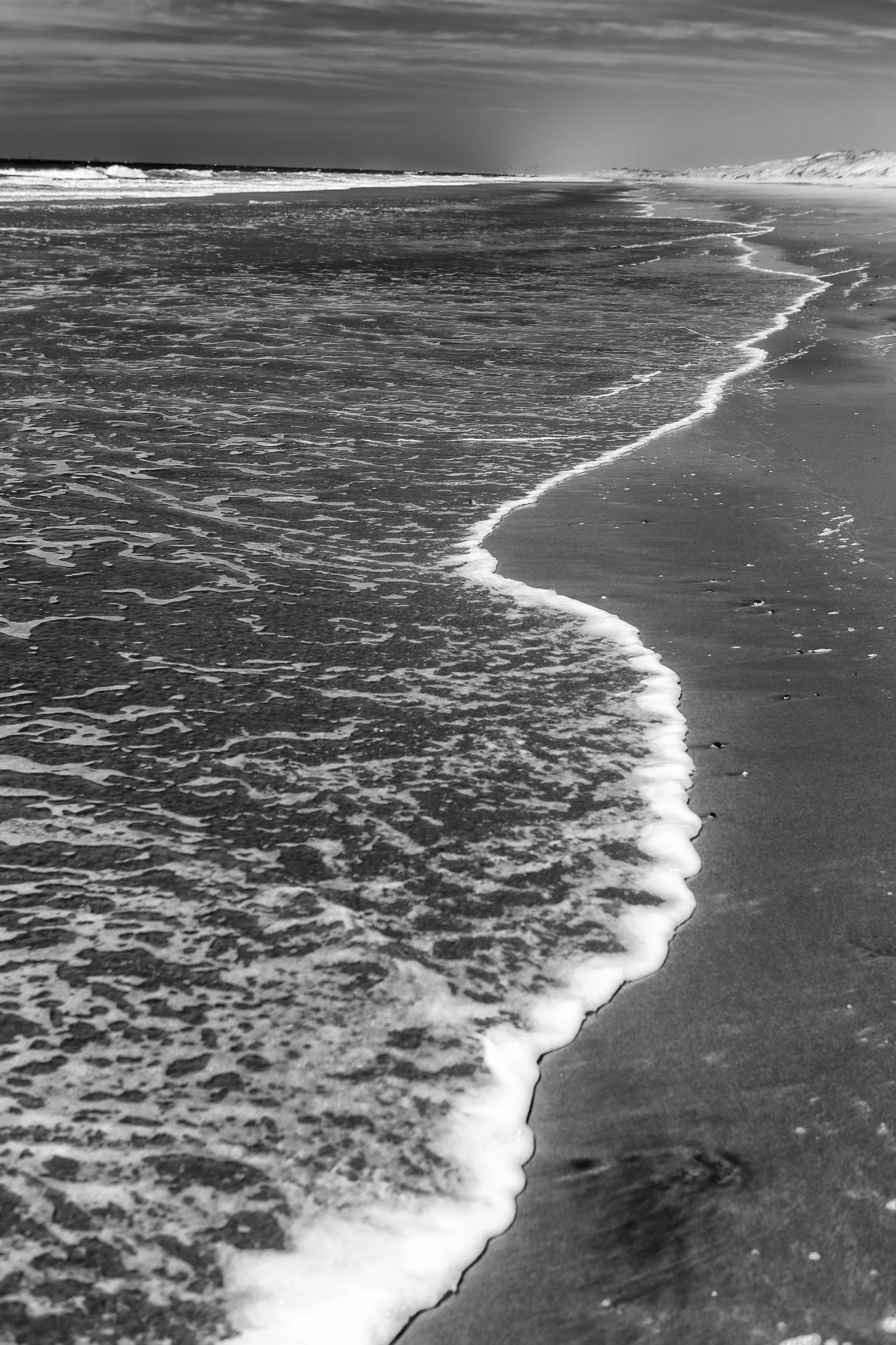 2009 Mexico | Baja Shark Fishing Camp