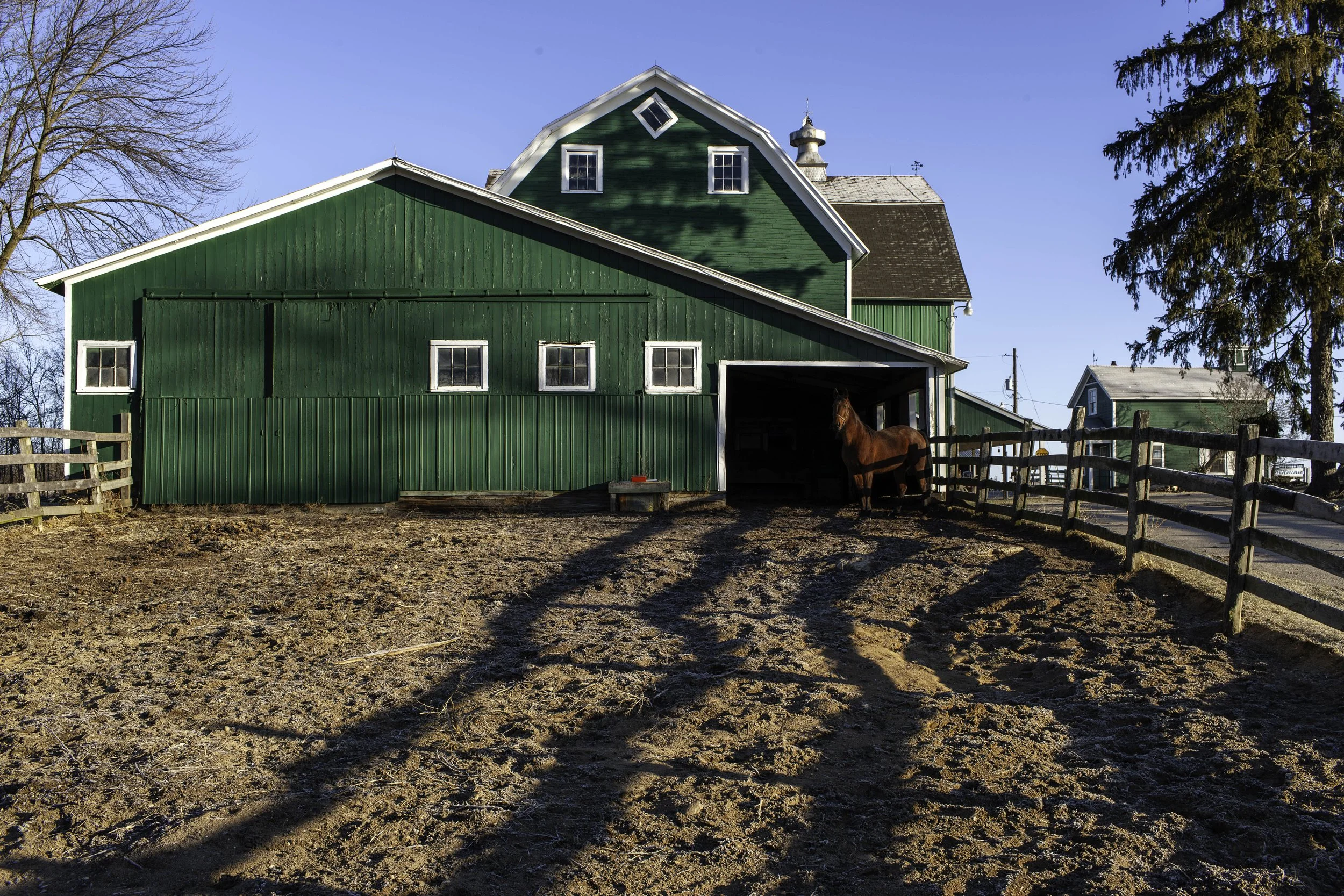 2012 Michigan | Leonard St.