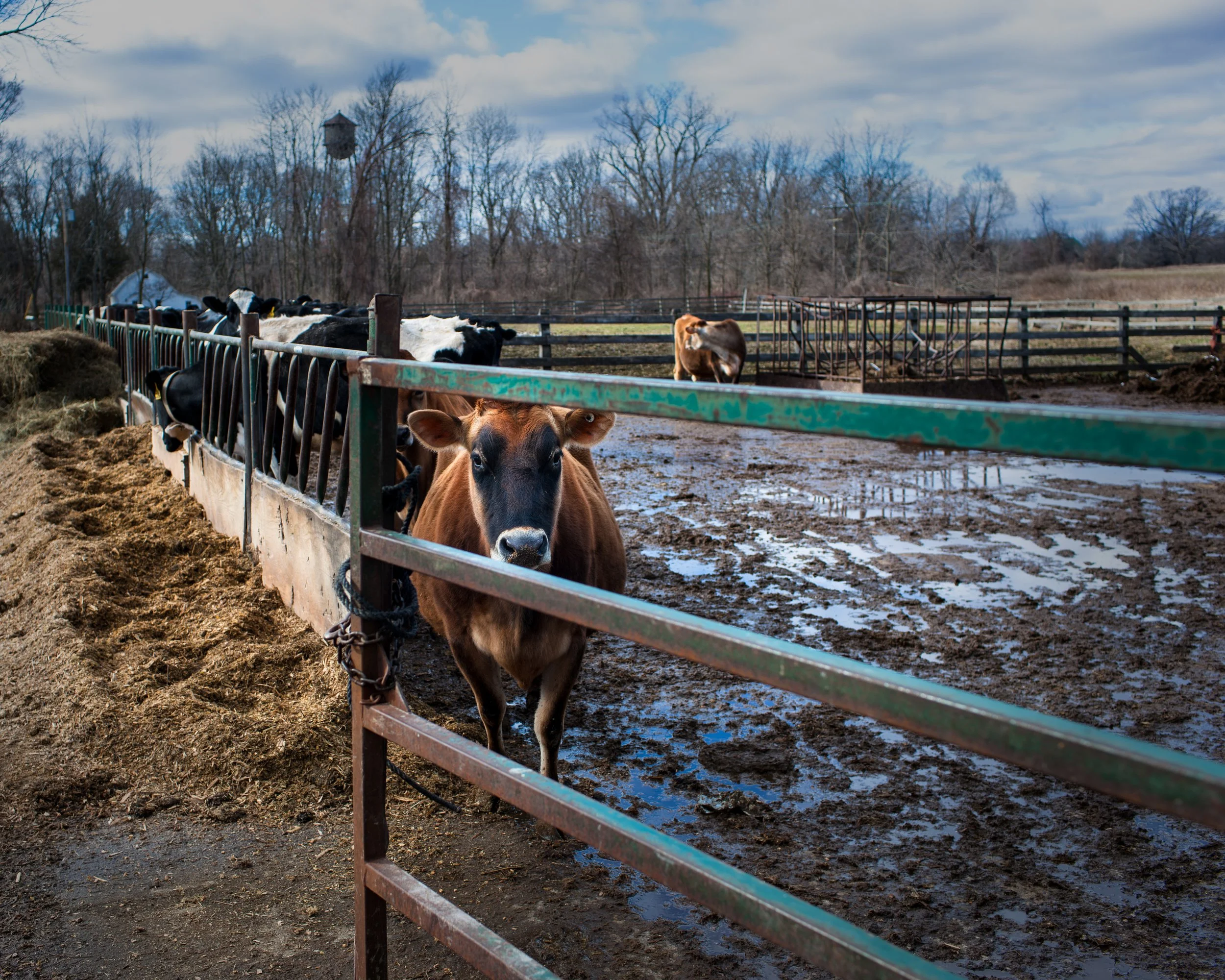2012 Michigan | Leonard St.