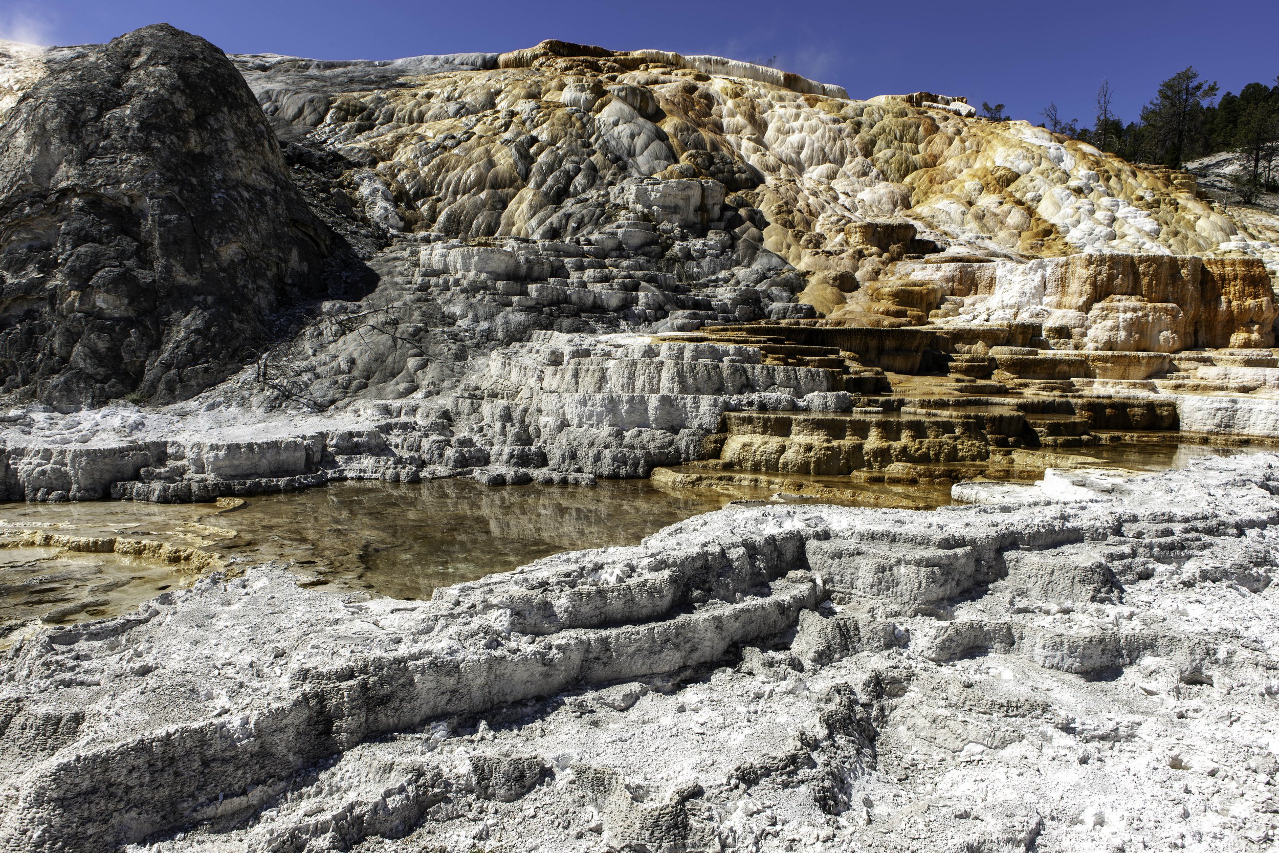 2011 Wyoming | Yellowstone