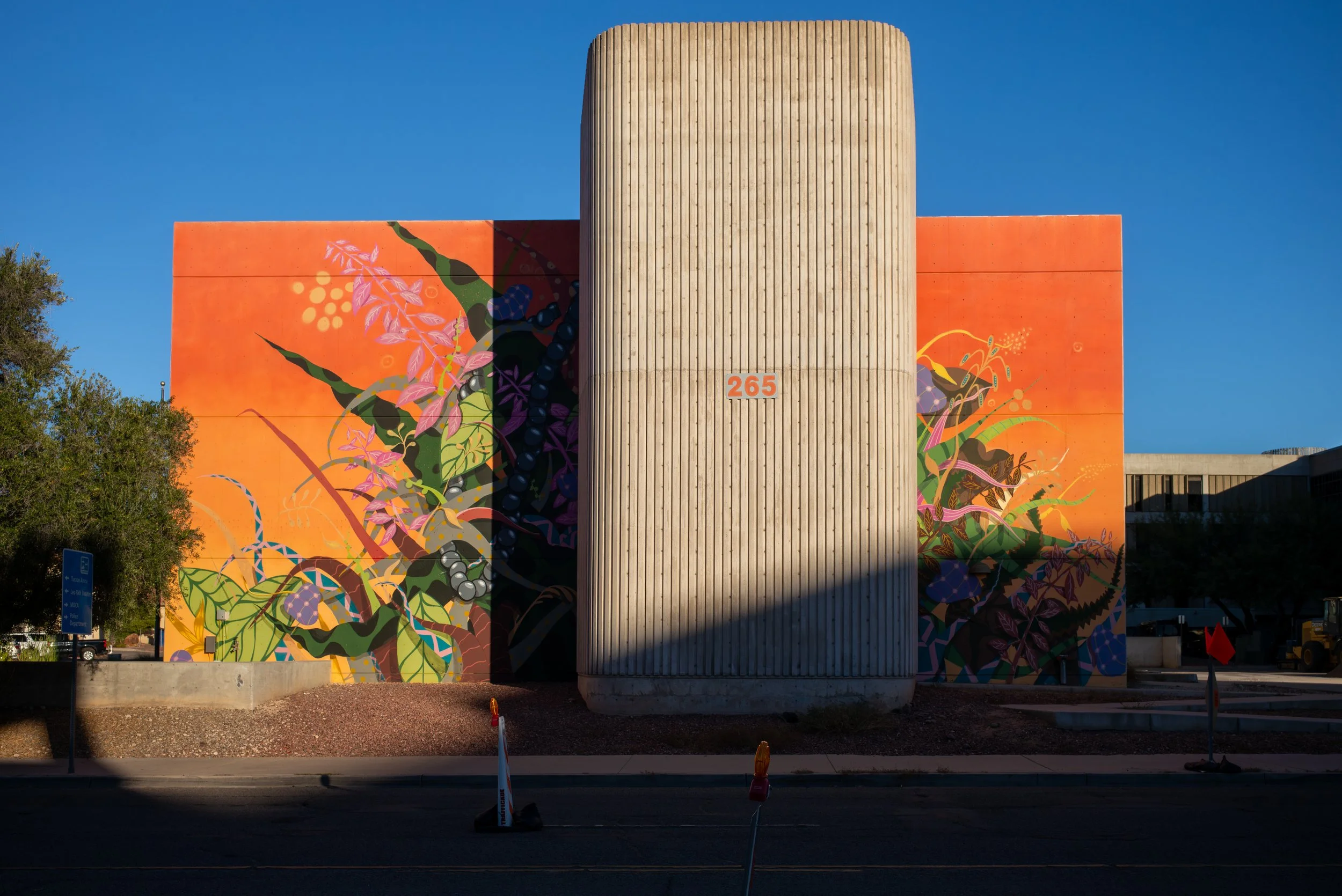 2023 Arizona | Tucson