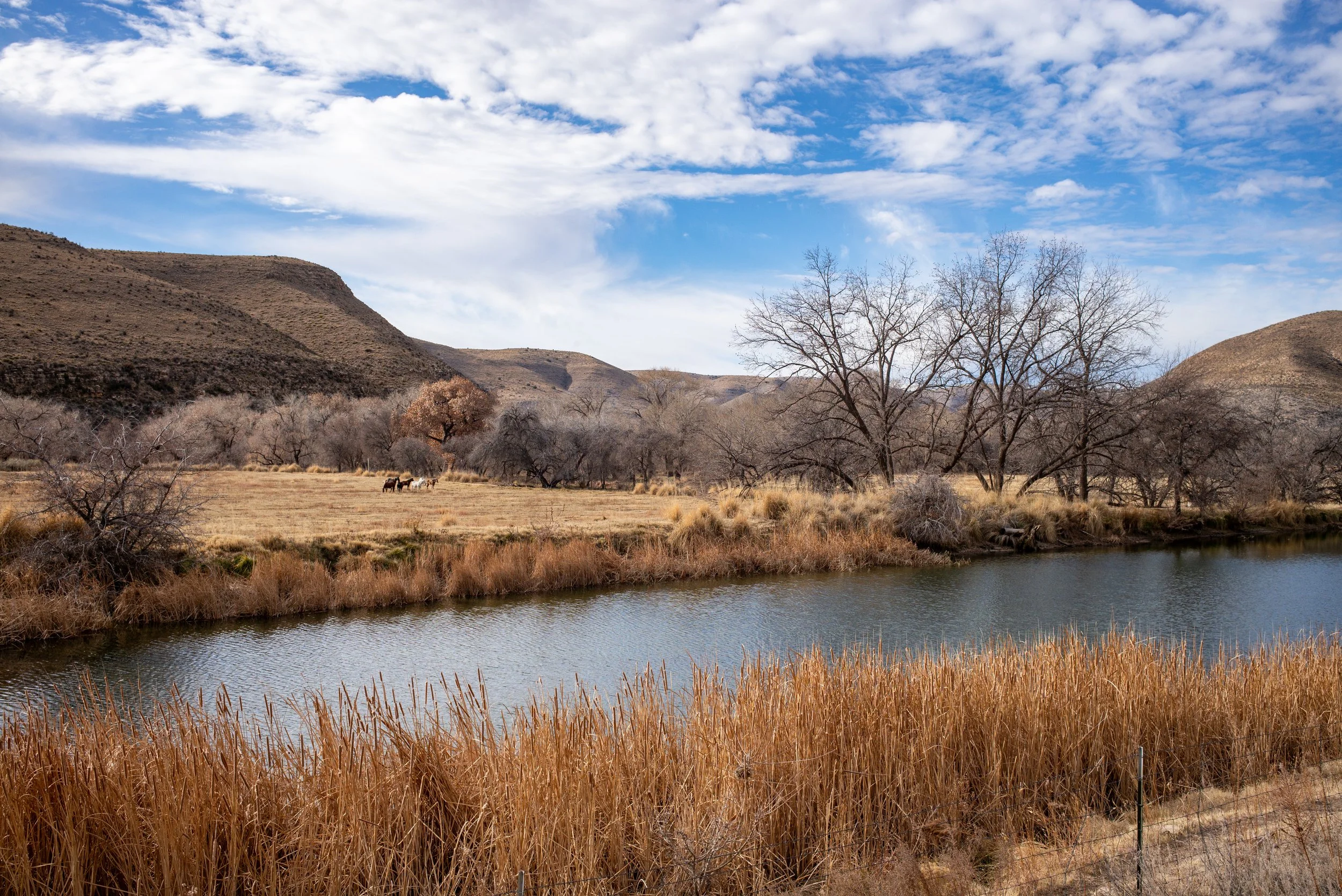 2024 New Mexico | Highway 380