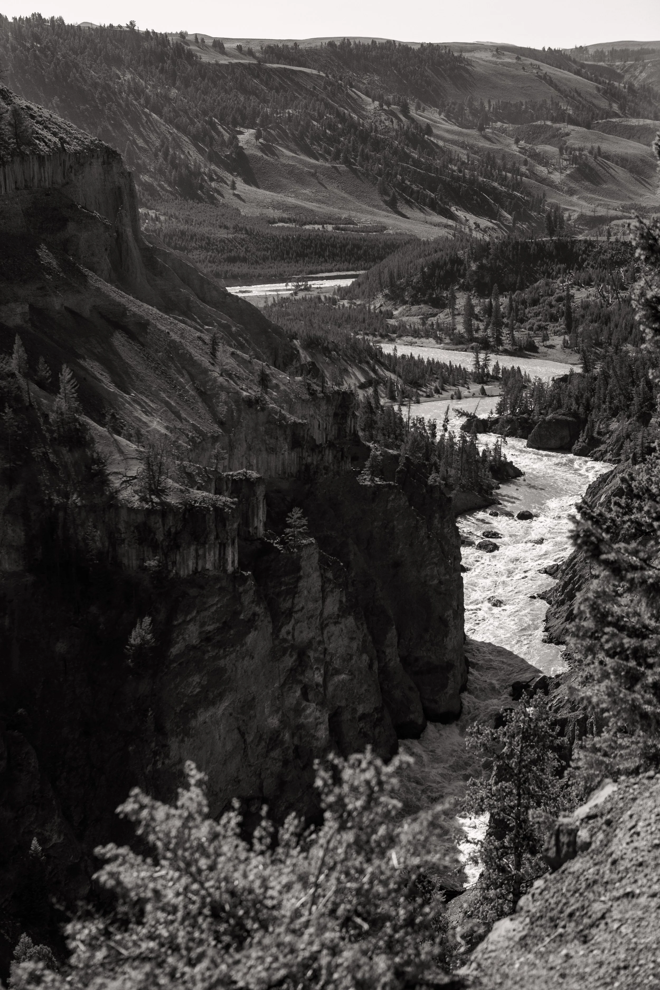 2011 Wyoming | Yellowstone