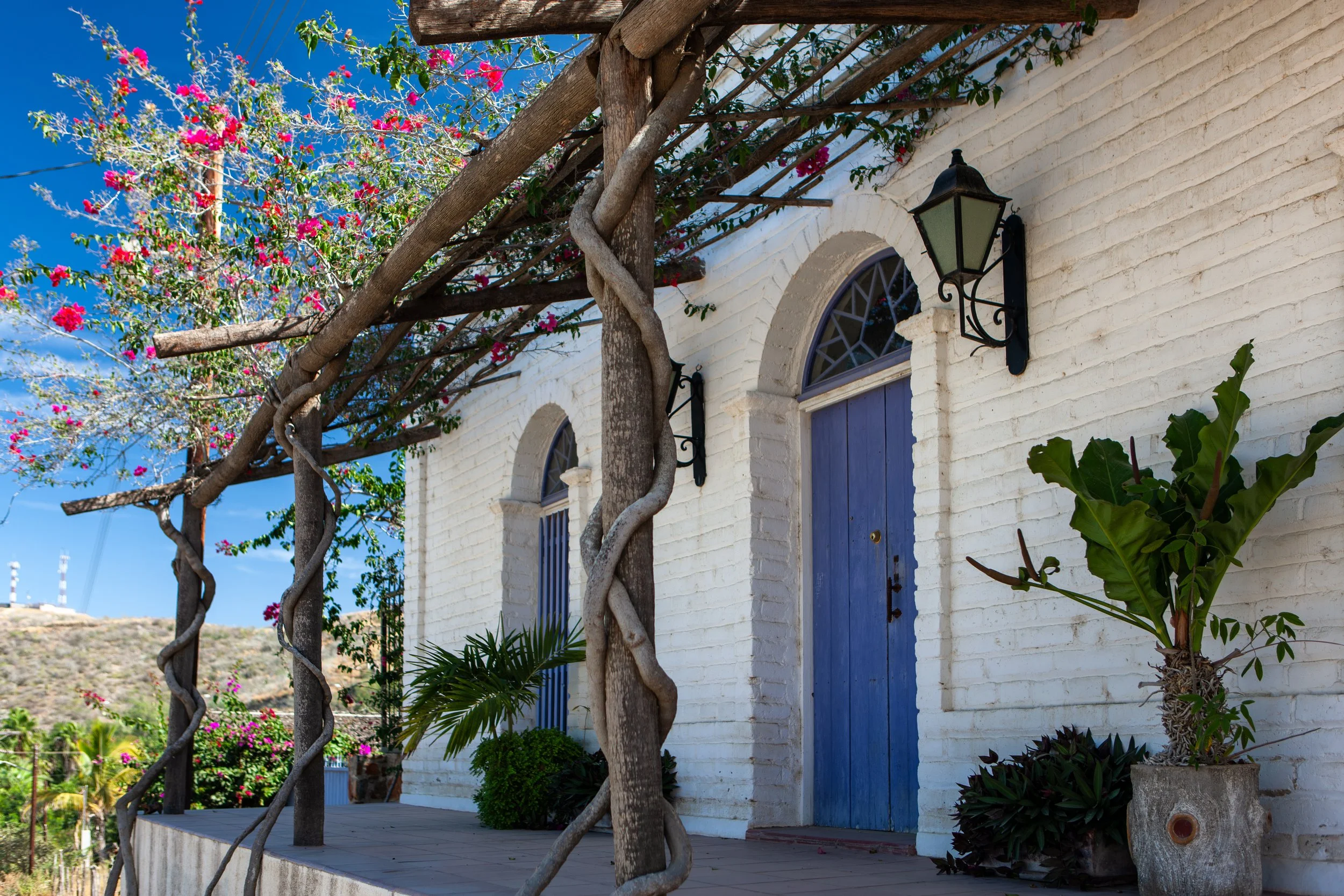 2008 Mexico | Todos Santos