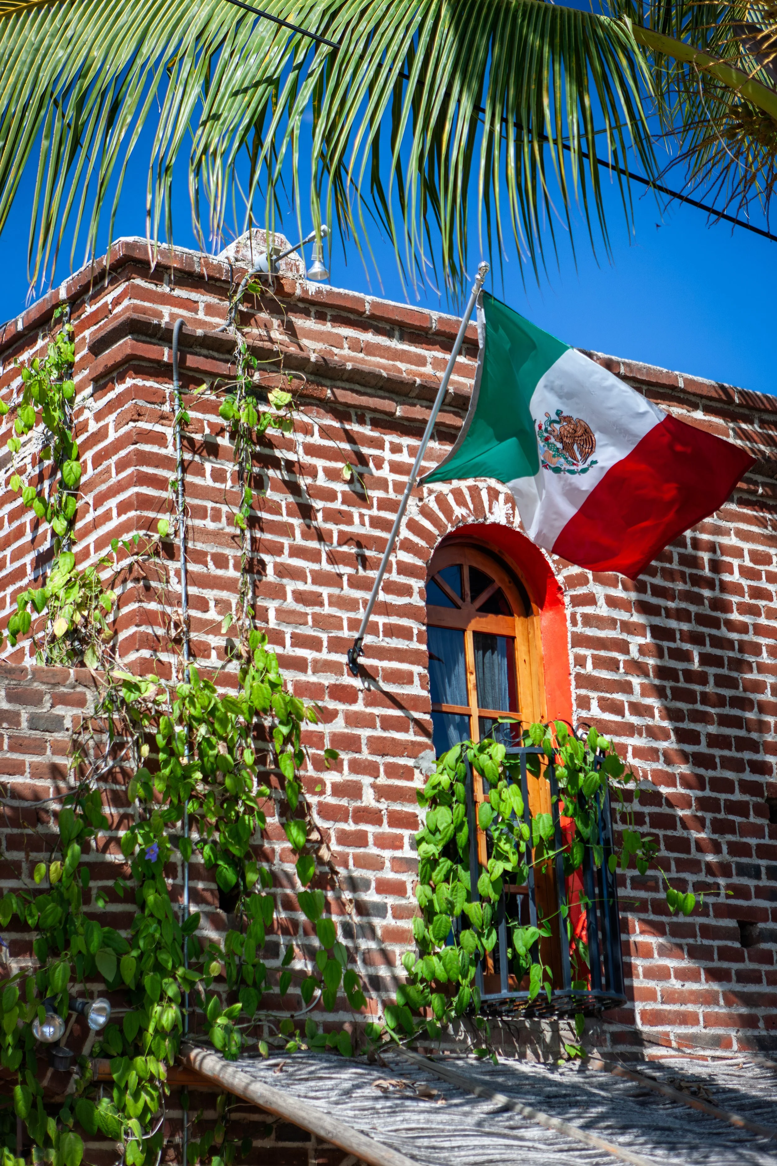 2008 Mexico | Todos Santos