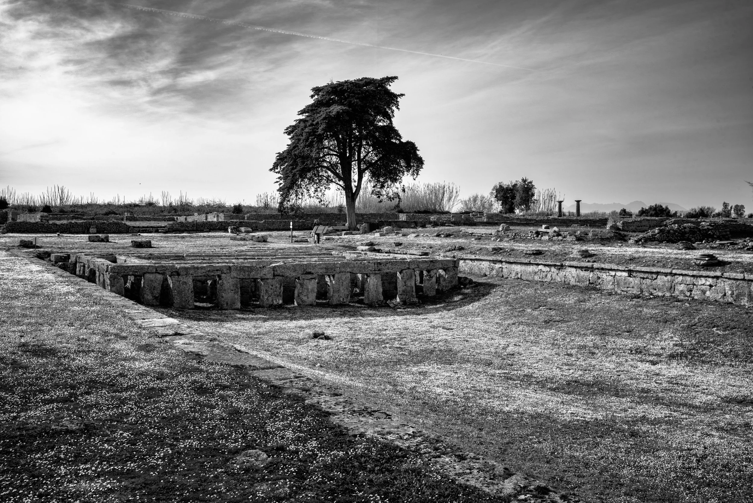 2022 Italy | Paestum