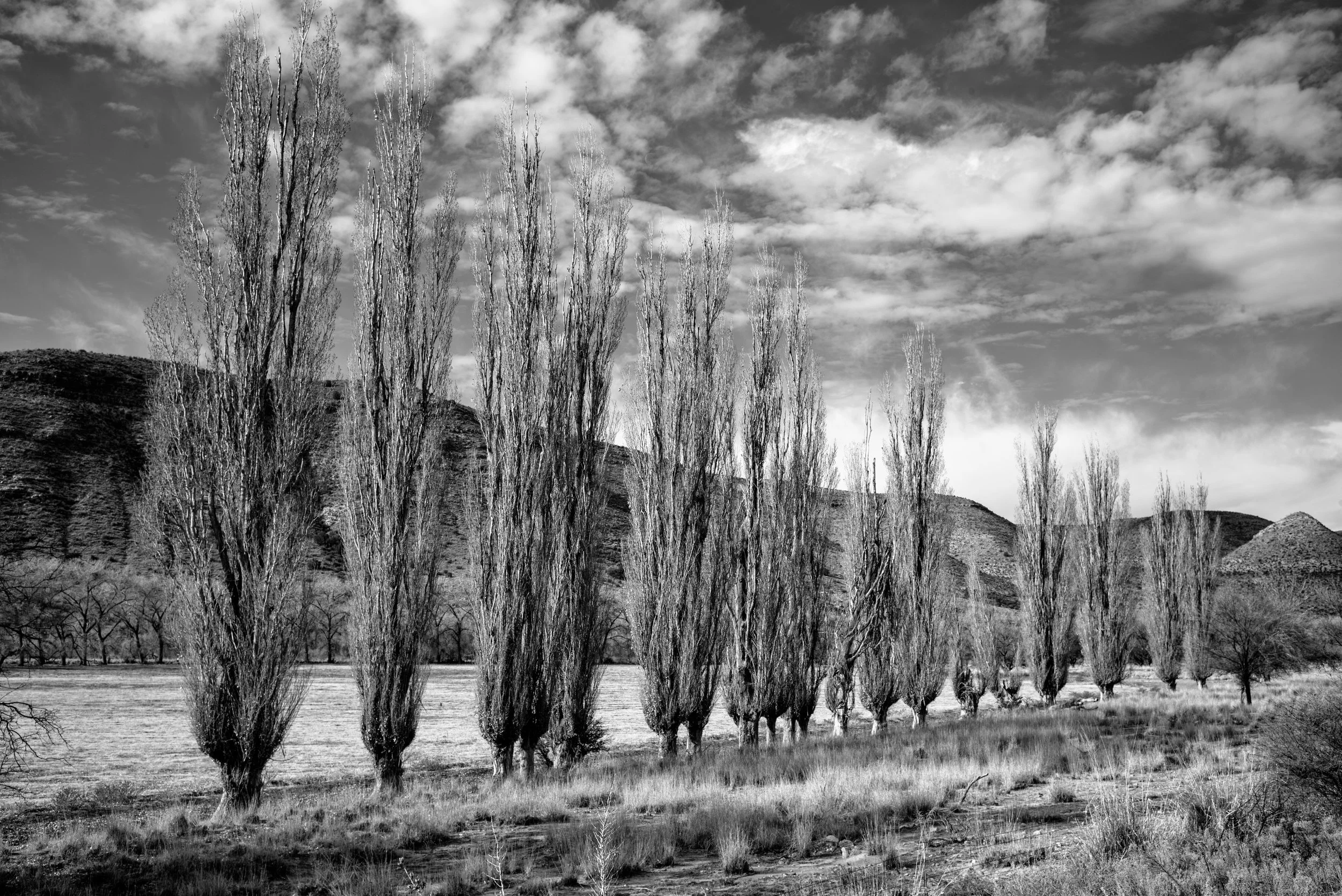 2024 New Mexico | Highway 380