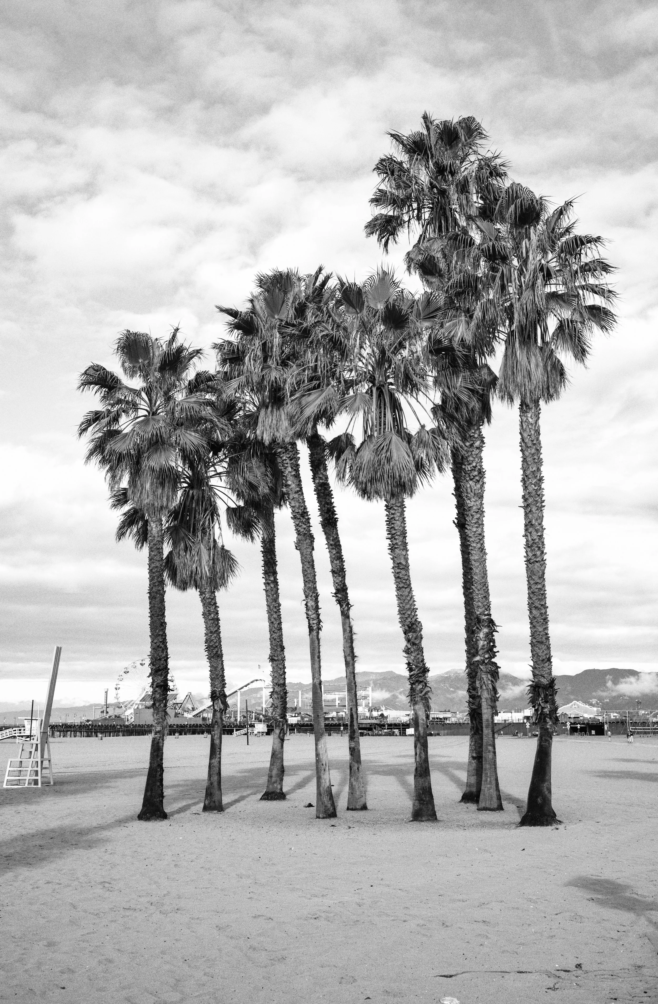 2016 California | Santa Monica