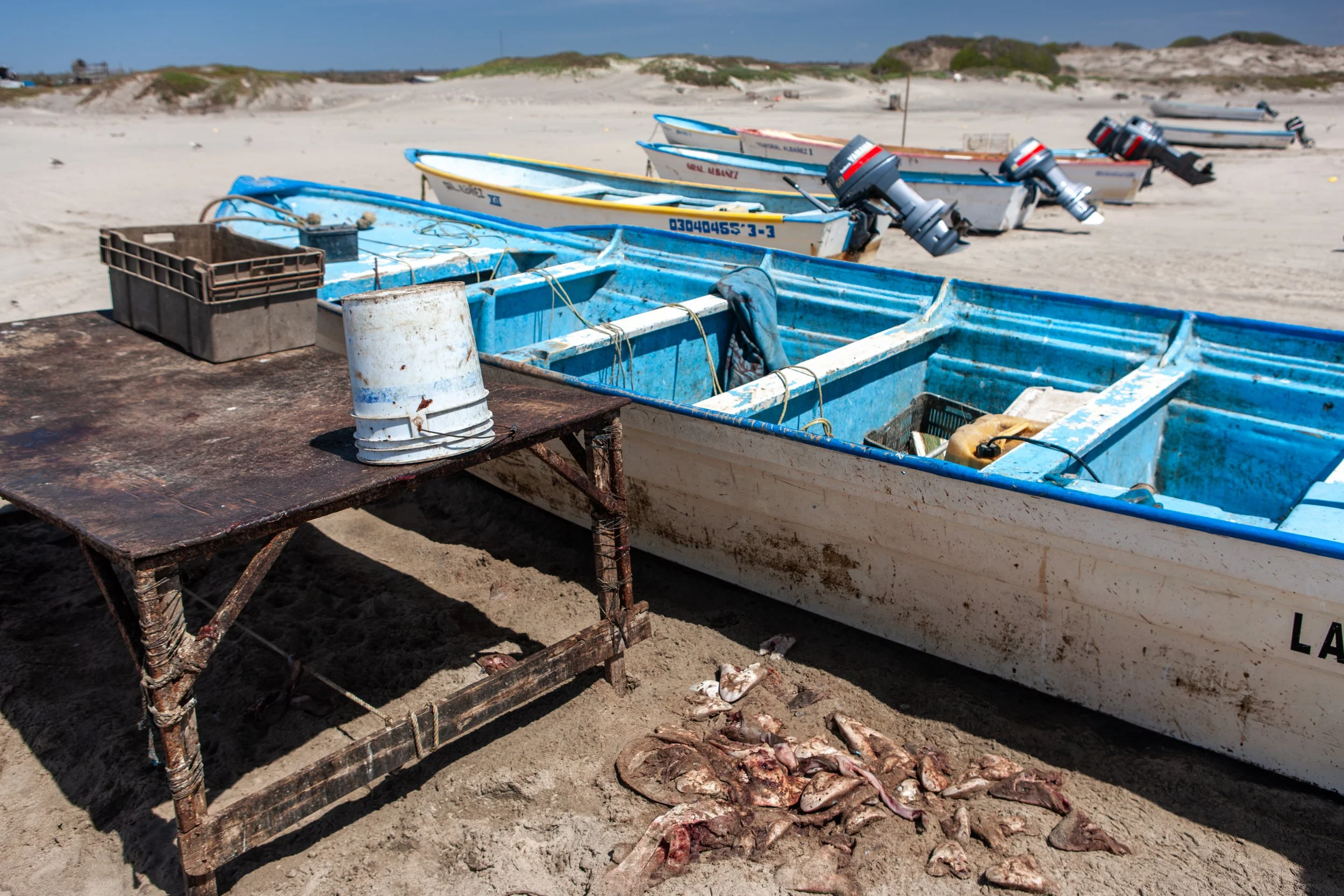 2009 Mexico | Baja Shark Fishing Camp