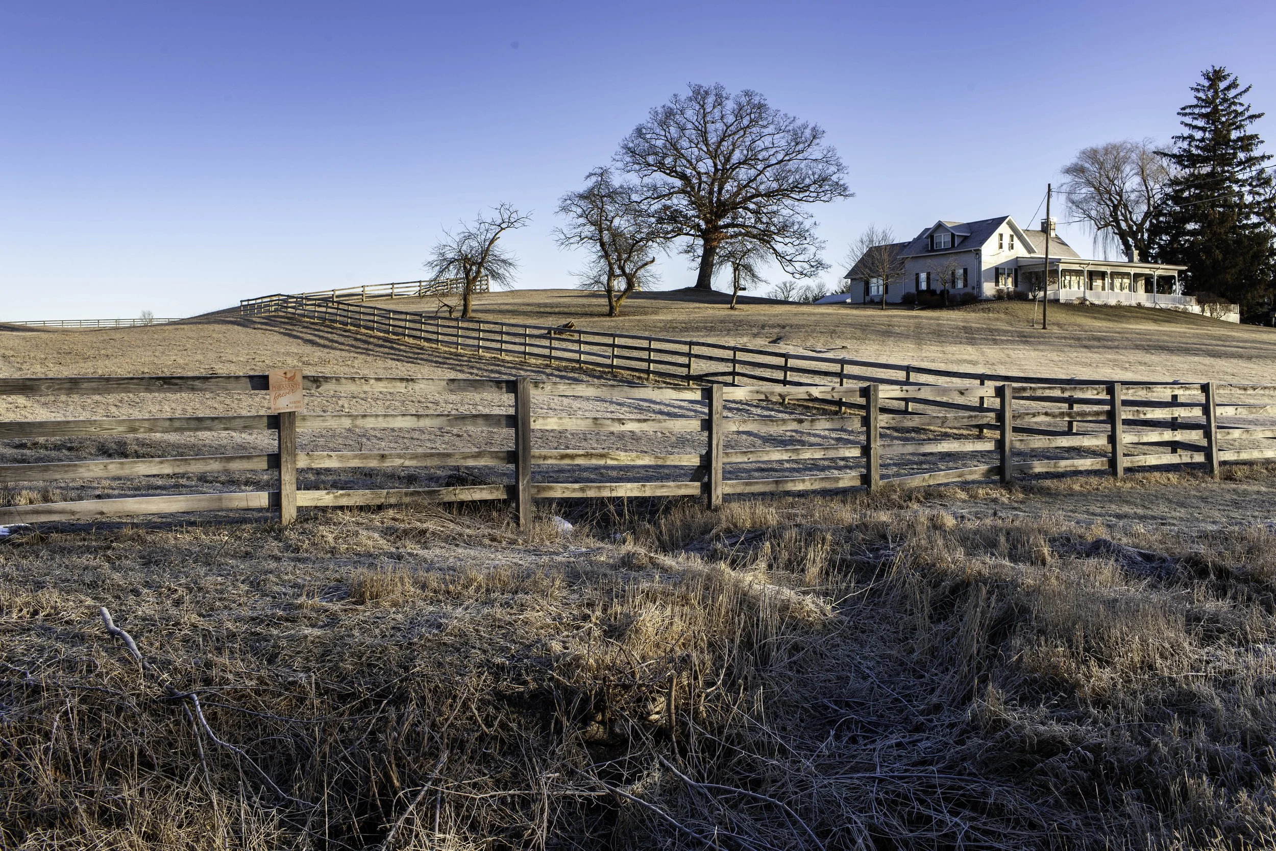 2012 Michigan | Leonard St.