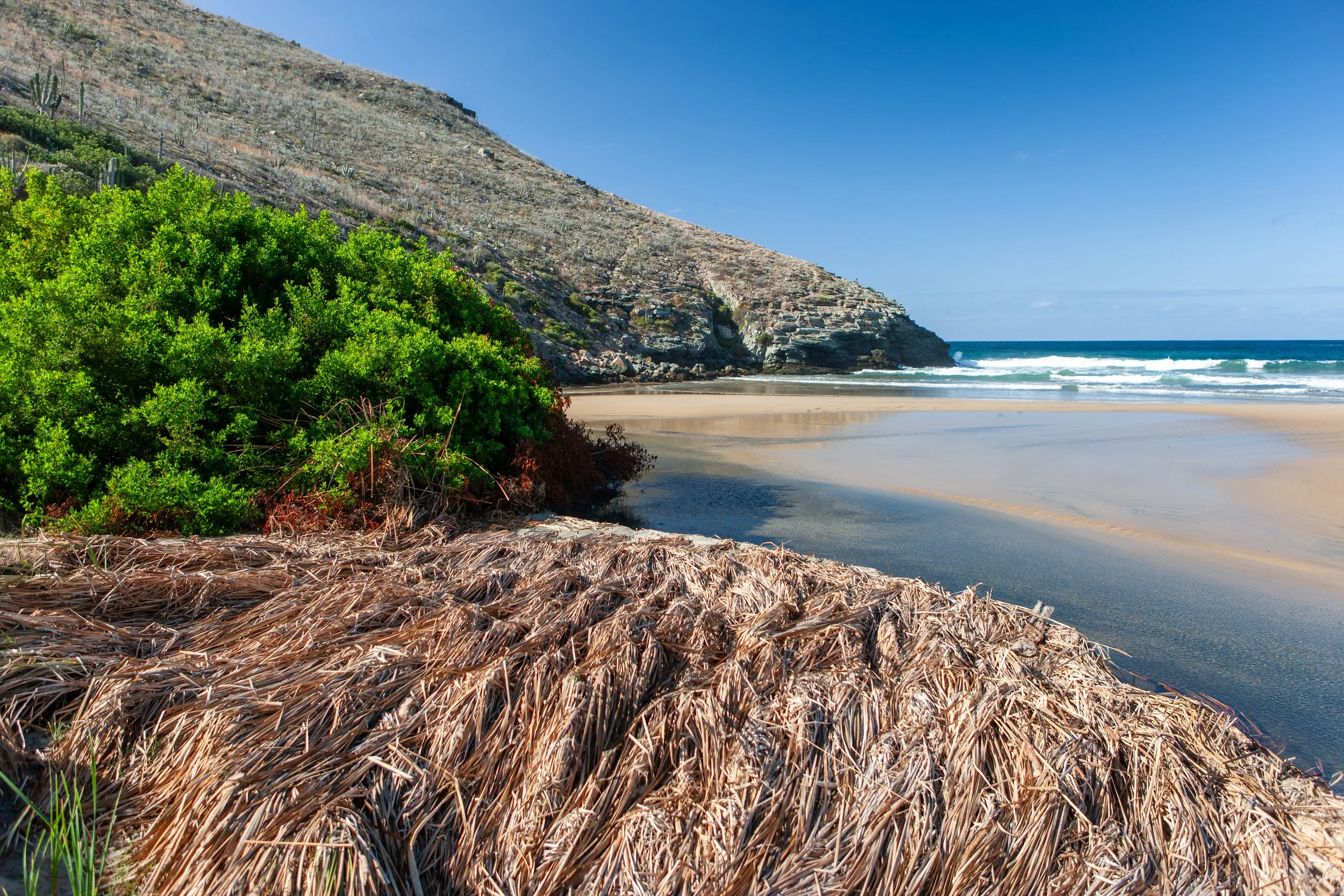 2008 Mexico | Playas Las Palmas