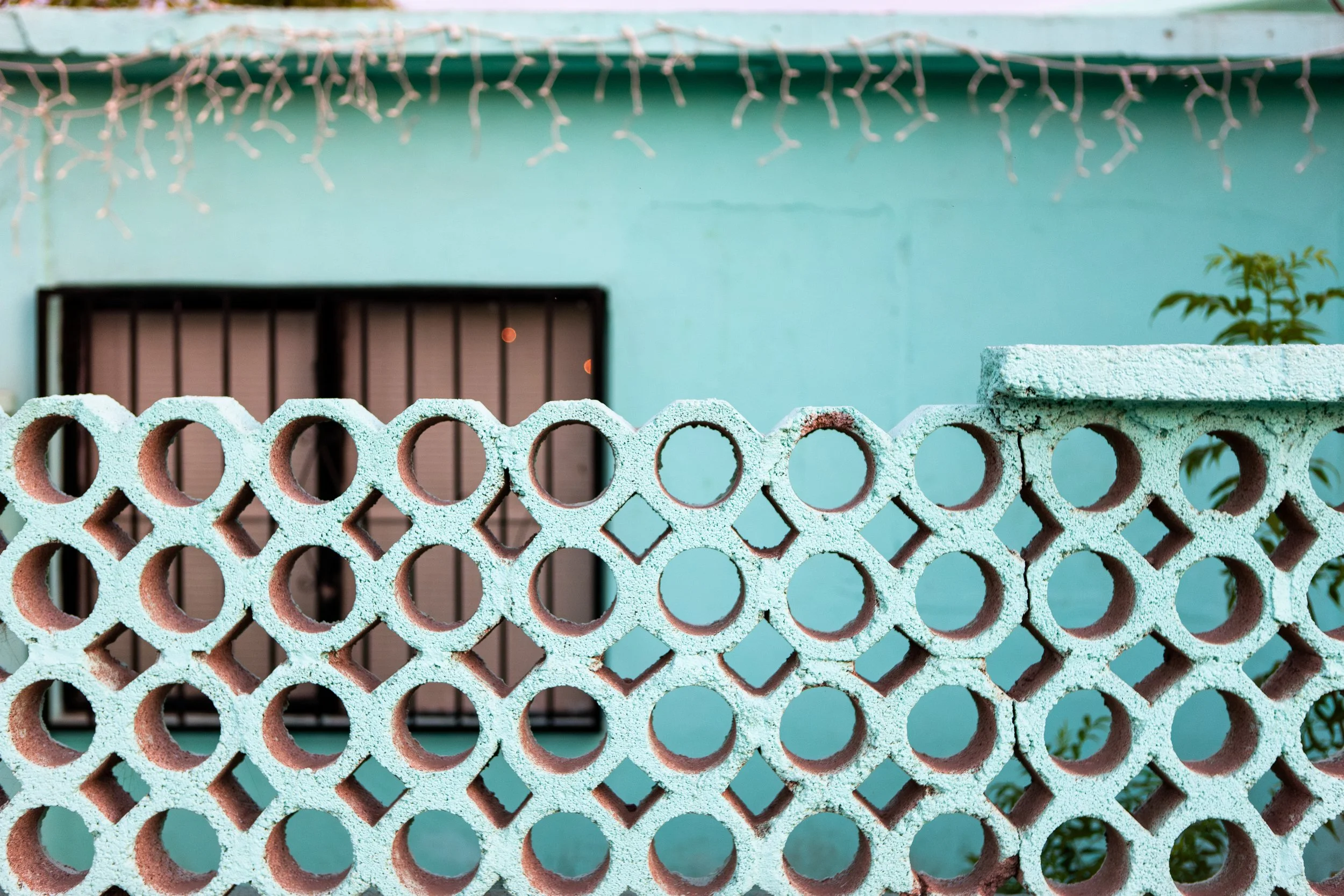 2008 Mexico | Todos Santos