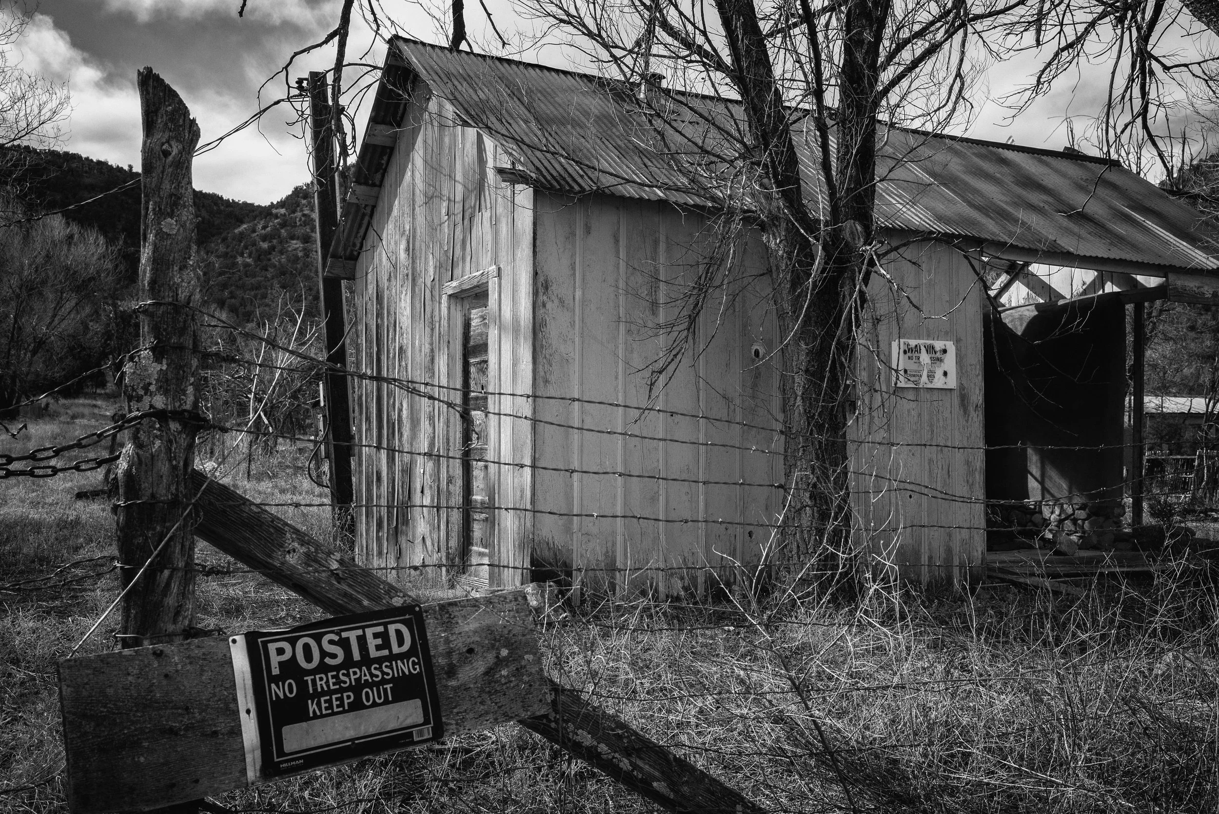 2024 New Mexico | Lincoln