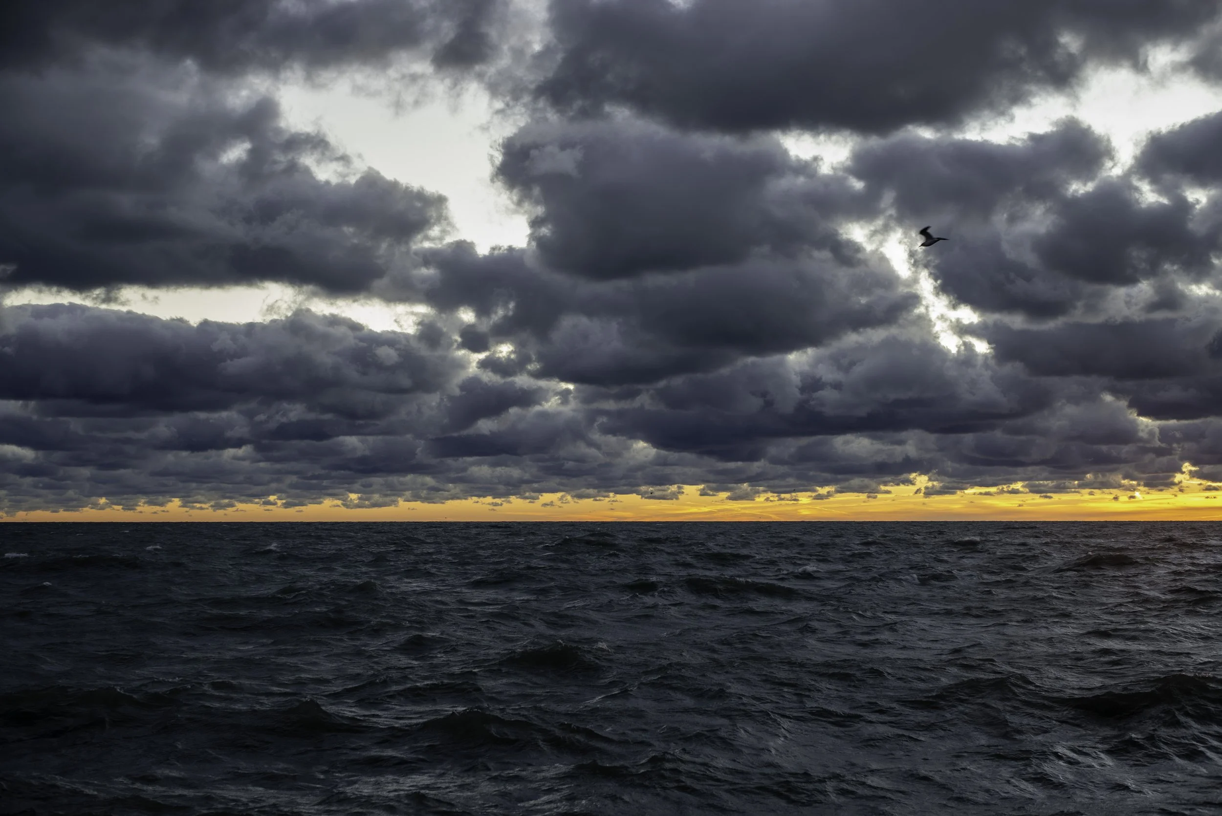 2015 Lake Michigan | Chicago