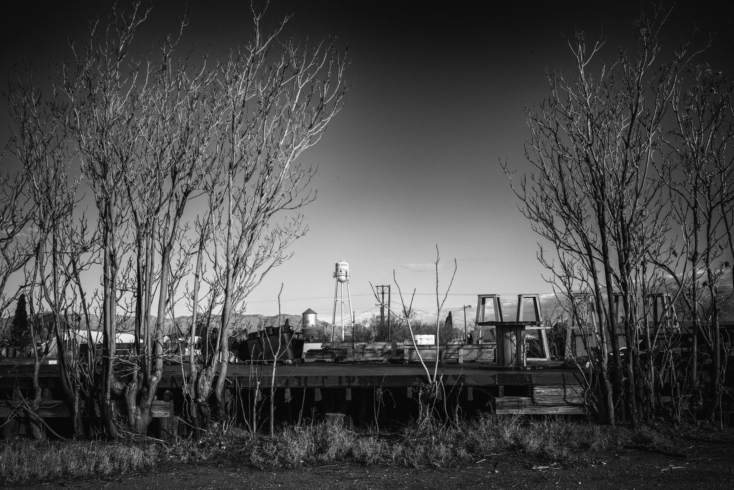 2024 Texas | Van Horn