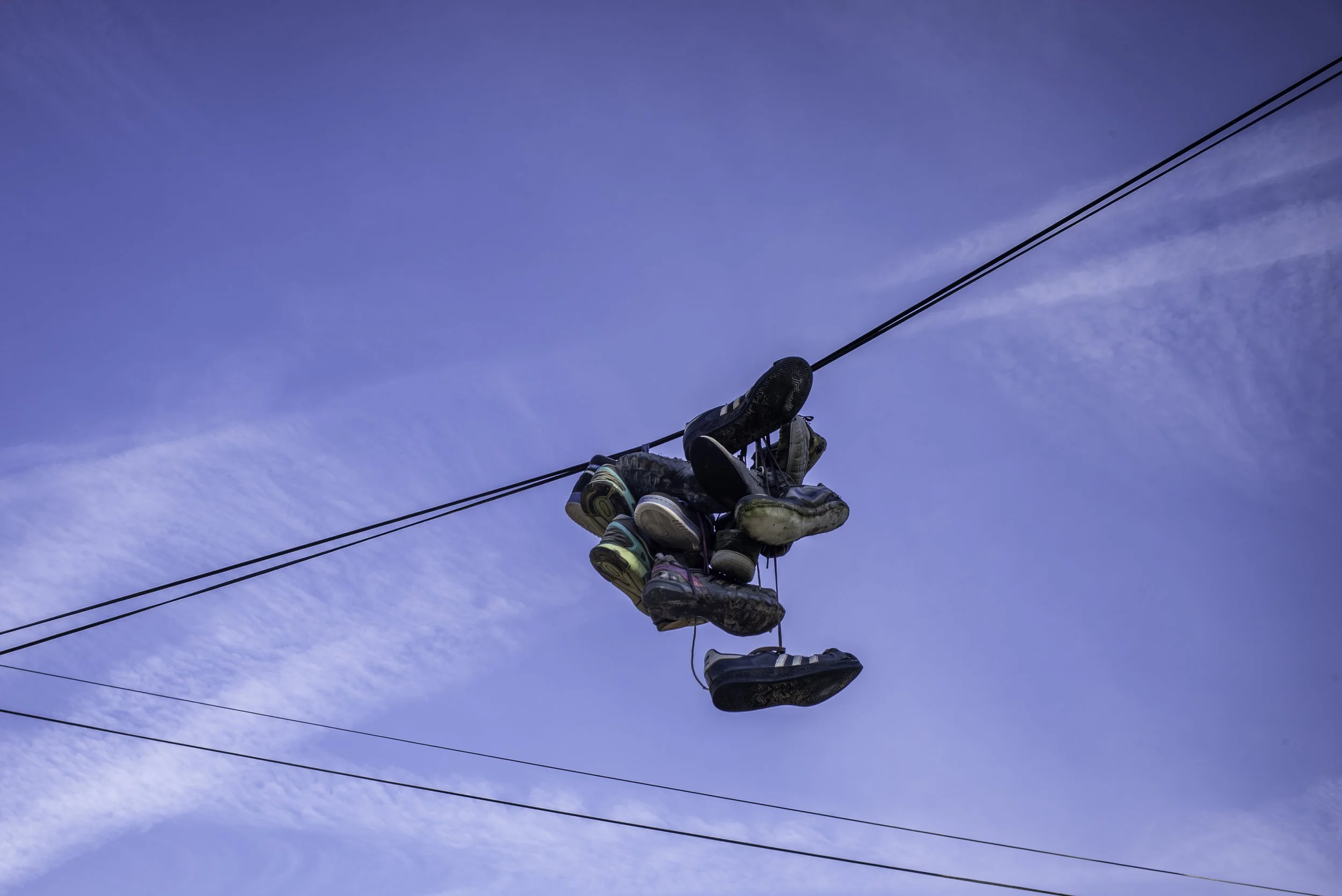 2019 Michigan | Ann Arbor