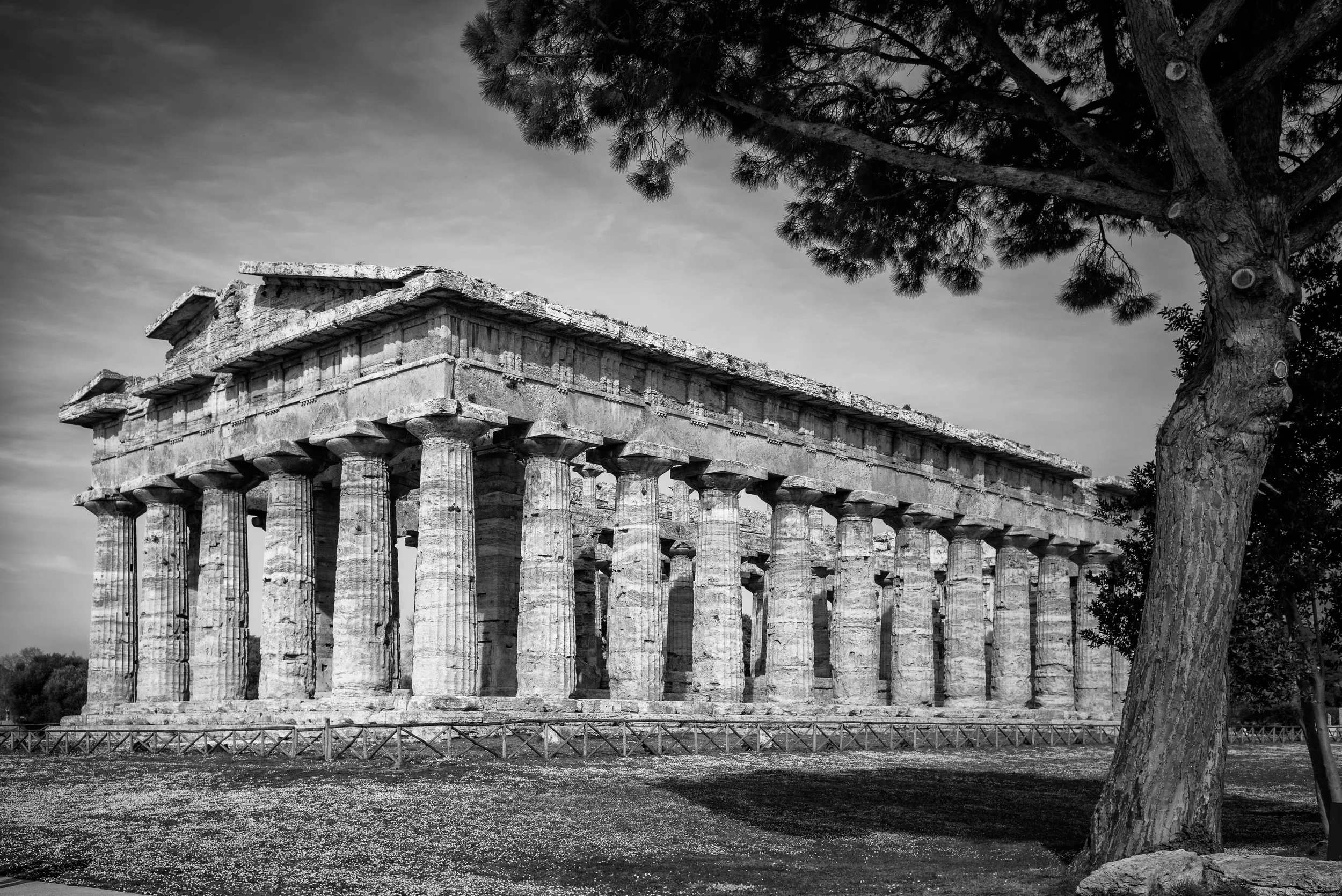 2022 Italy | Paestum