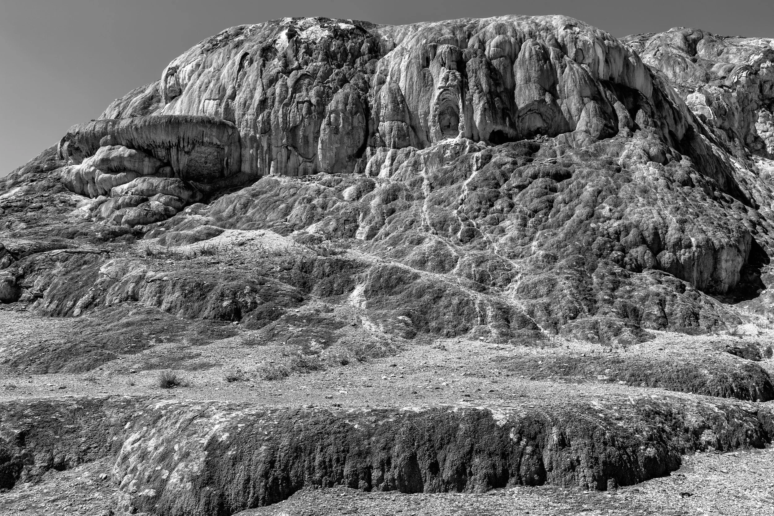 2011 Wyoming | Yellowstone