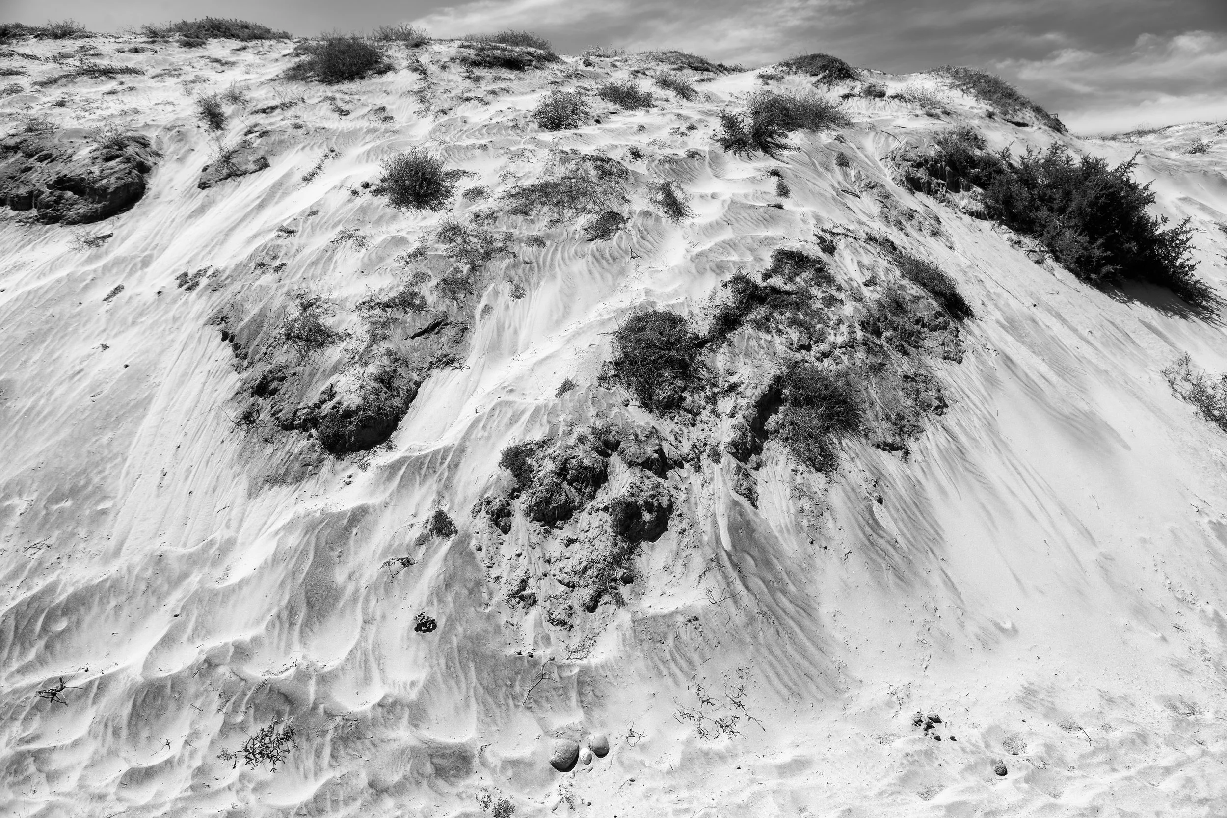 2009 Mexico | Baja Shark Fishing Camp